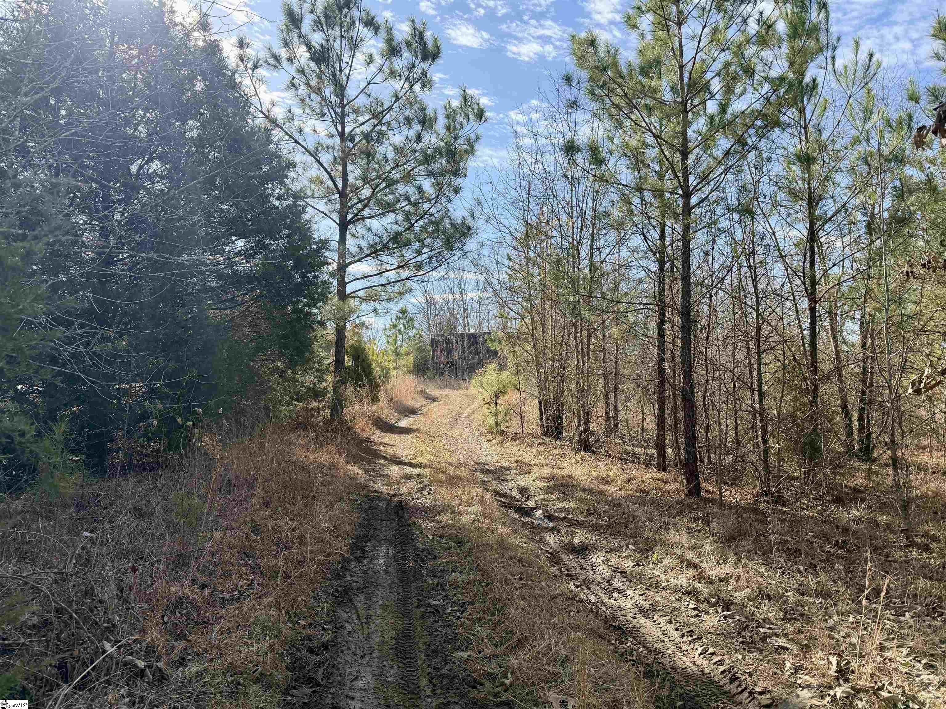 00 Neely Ferry Road Property Photo 20