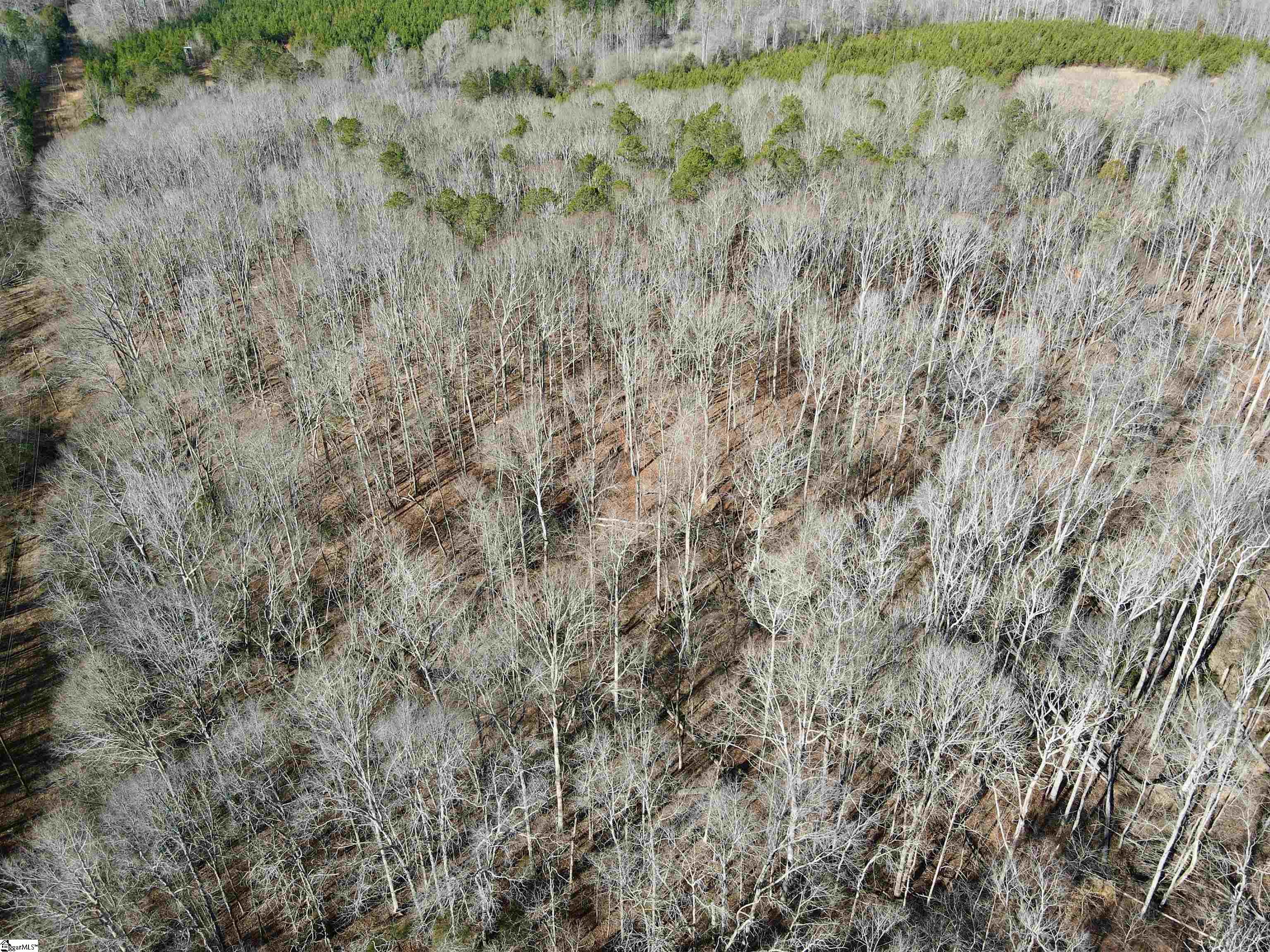 00 Neely Ferry Road Property Photo 22