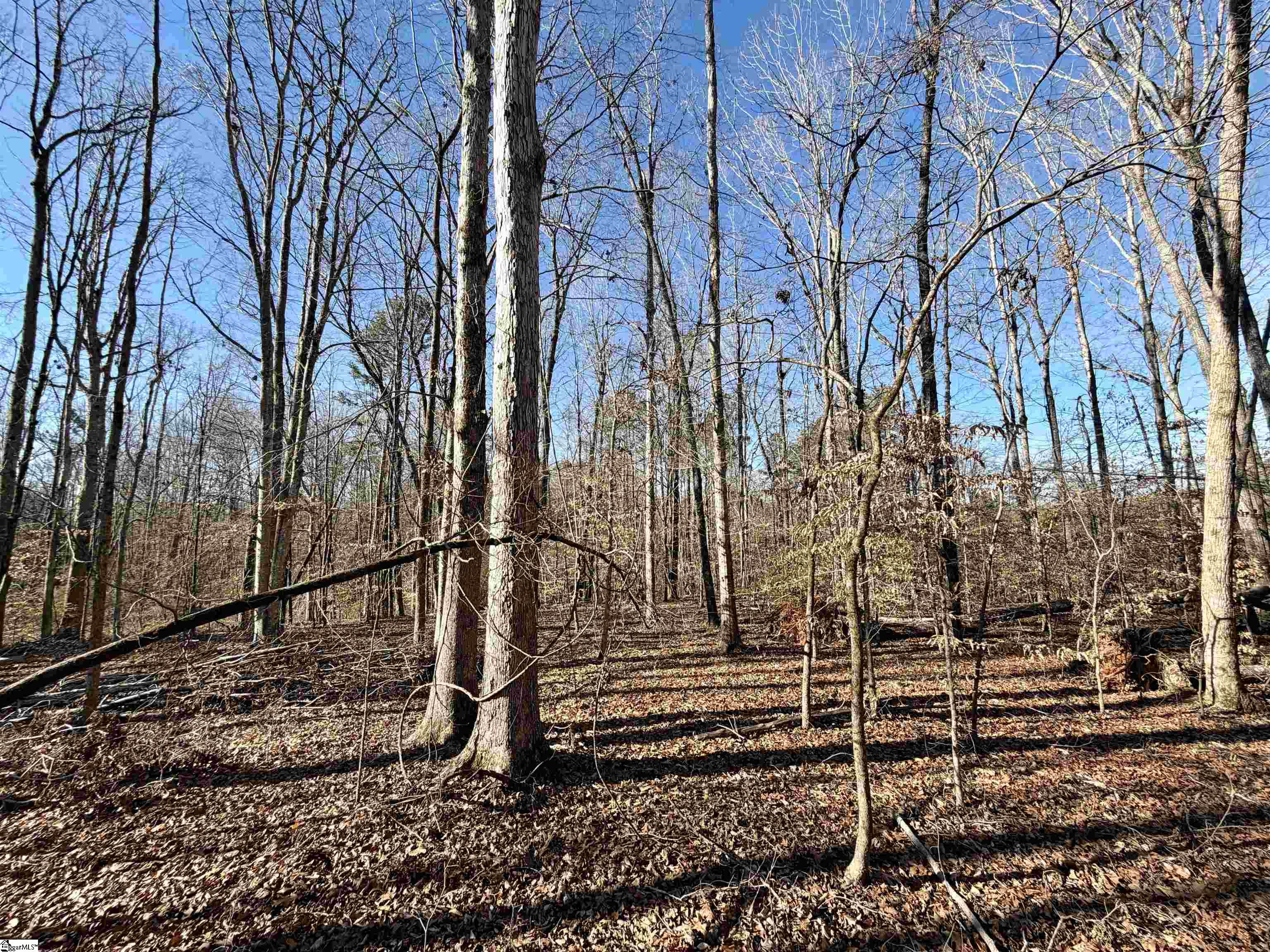 00 Neely Ferry Road Property Photo 23