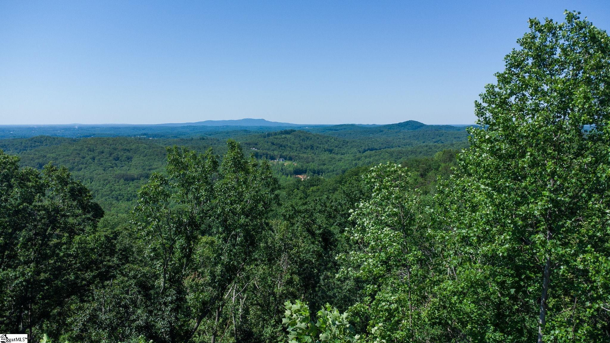 146 Glassy Falls Trail Property Photo 2