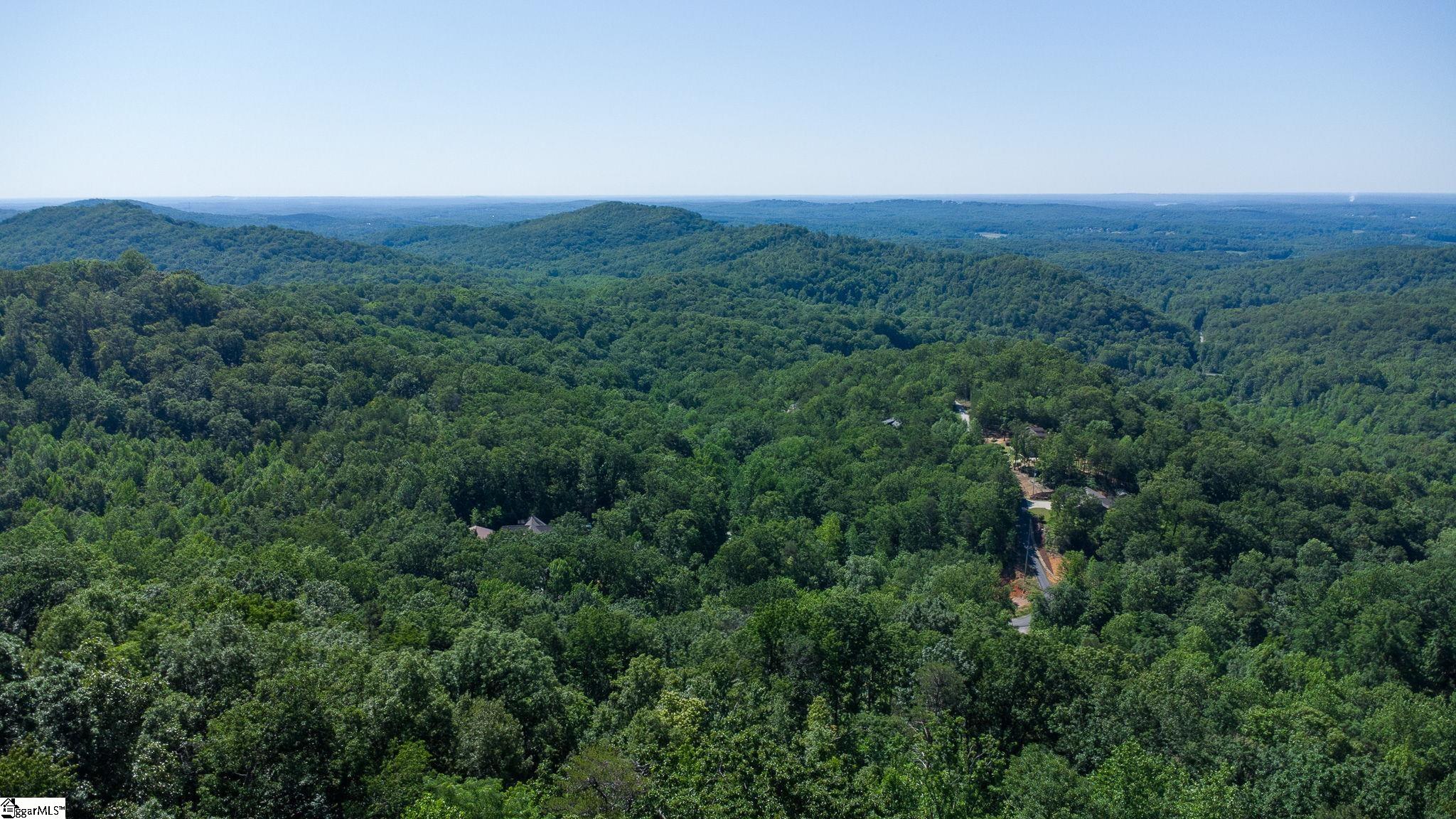 146 Glassy Falls Trail Property Photo 3