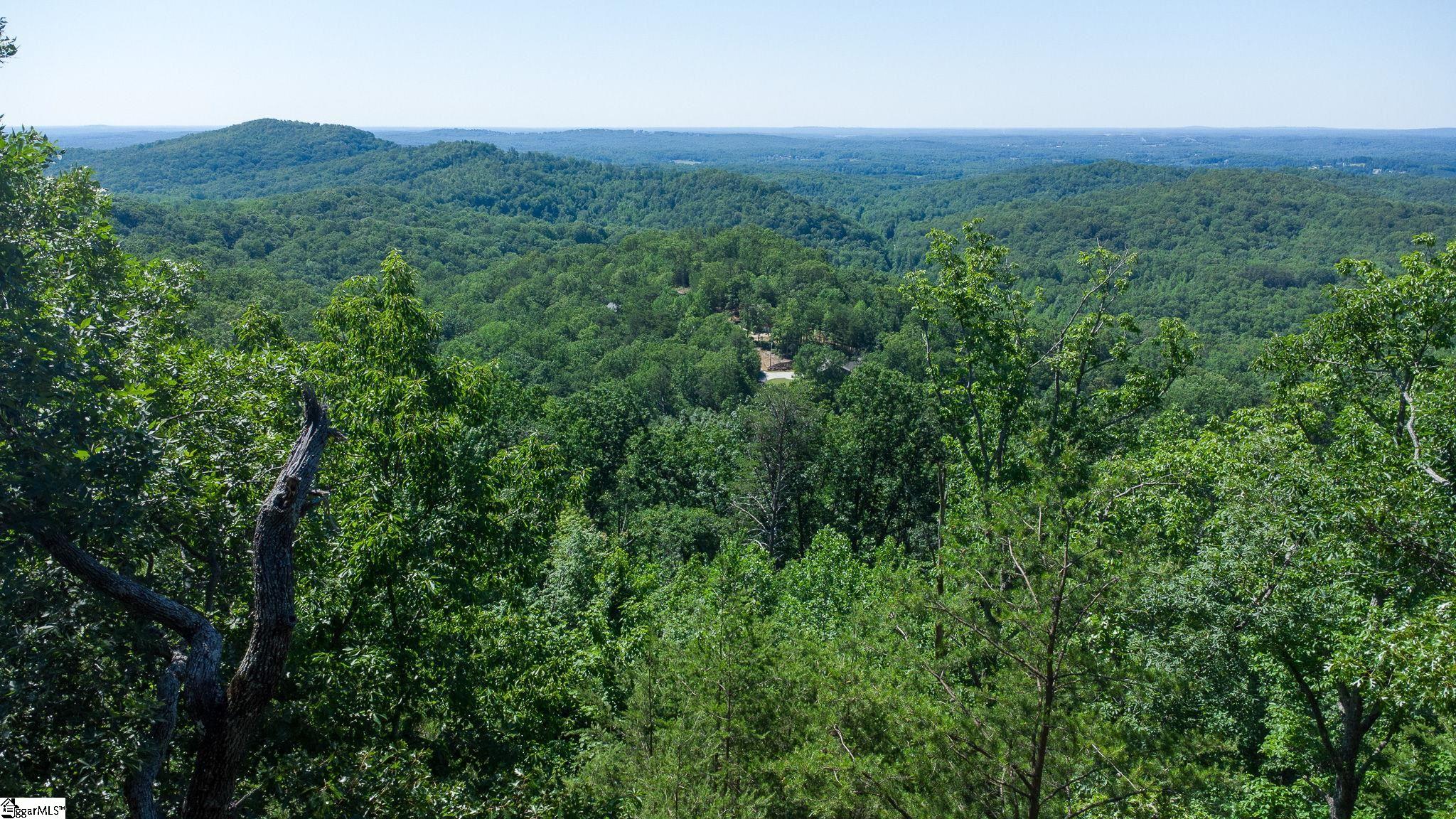 146 Glassy Falls Trail Property Photo 7