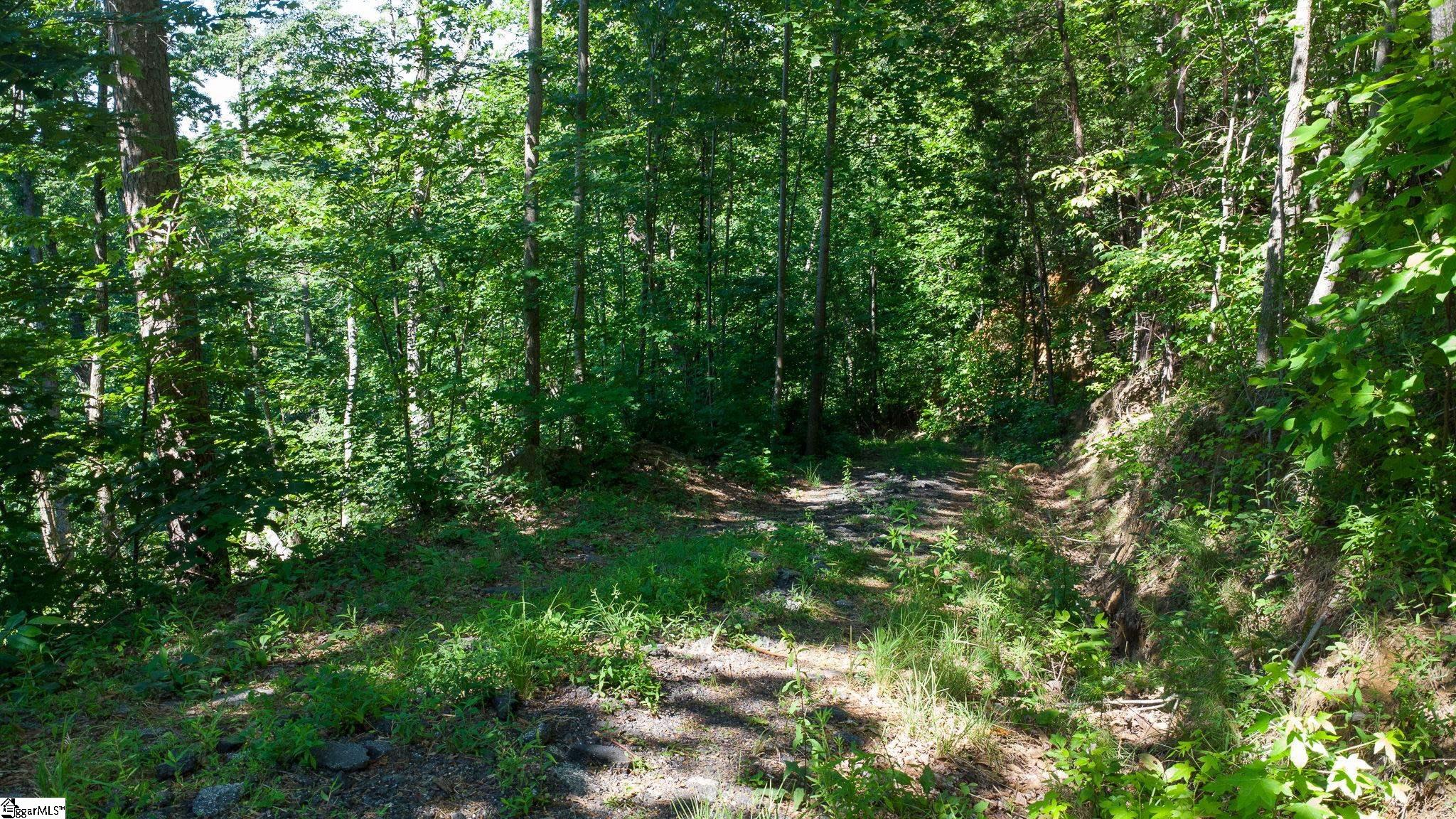 146 Glassy Falls Trail Property Photo 8