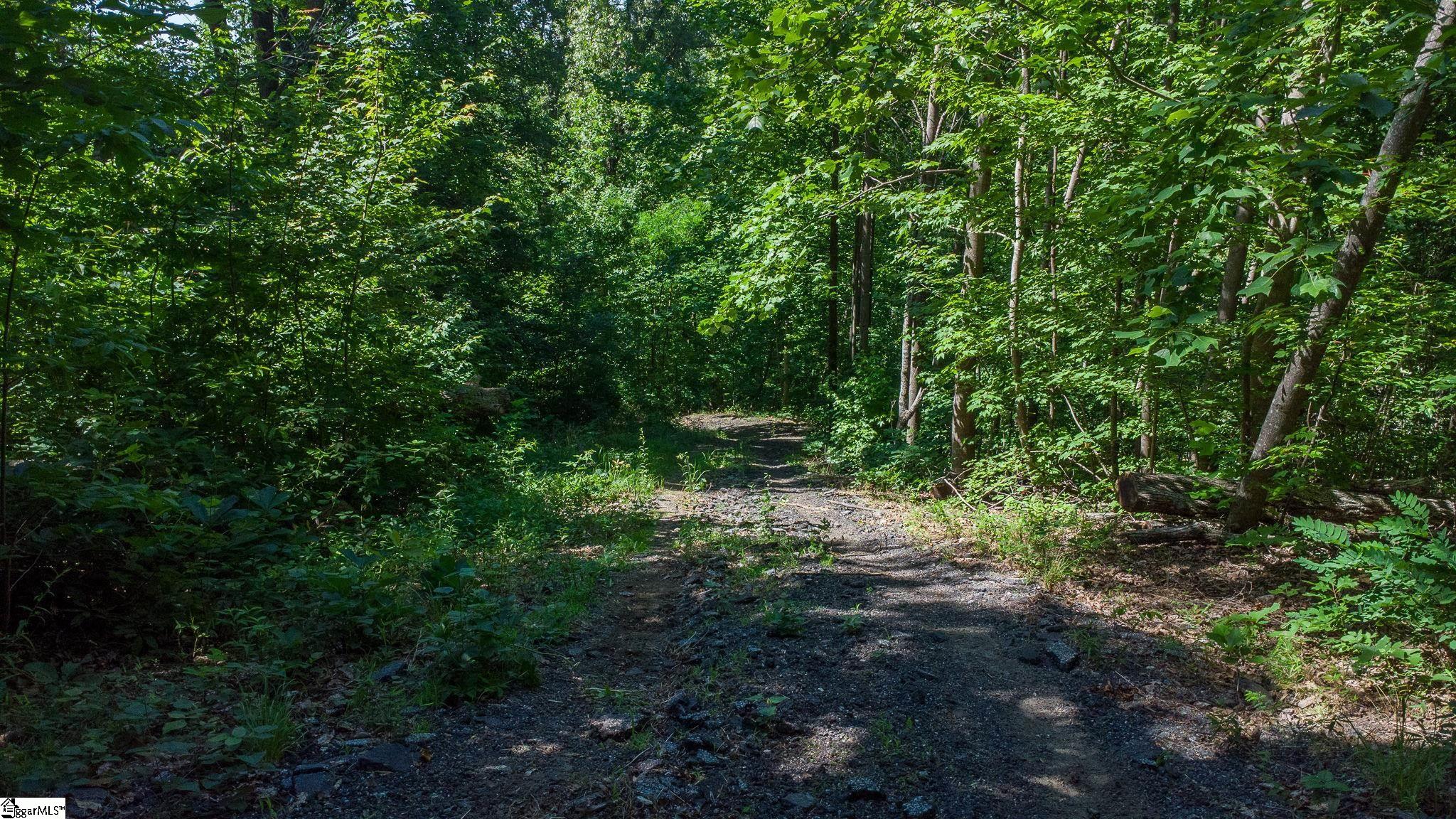 146 Glassy Falls Trail Property Photo 9