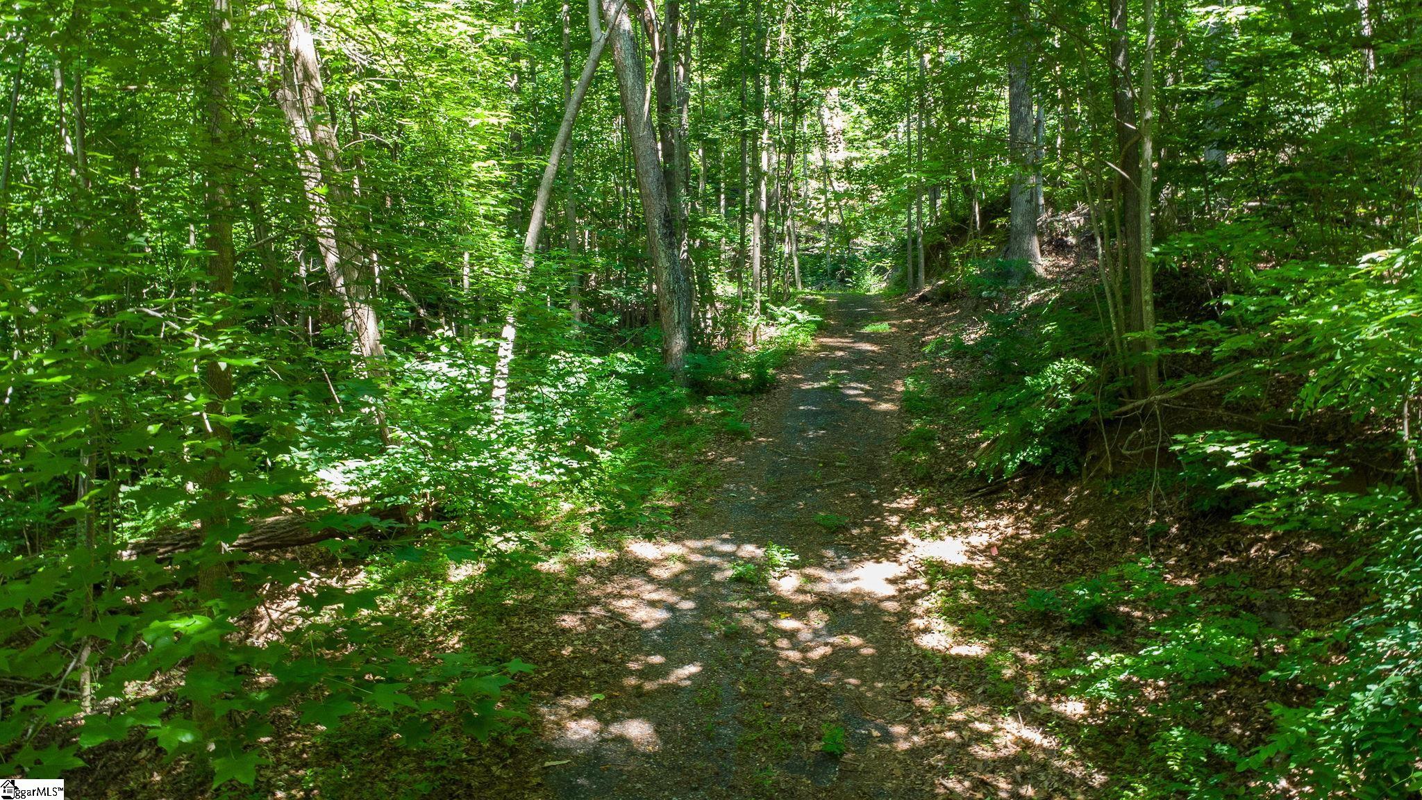 146 Glassy Falls Trail Property Photo 10