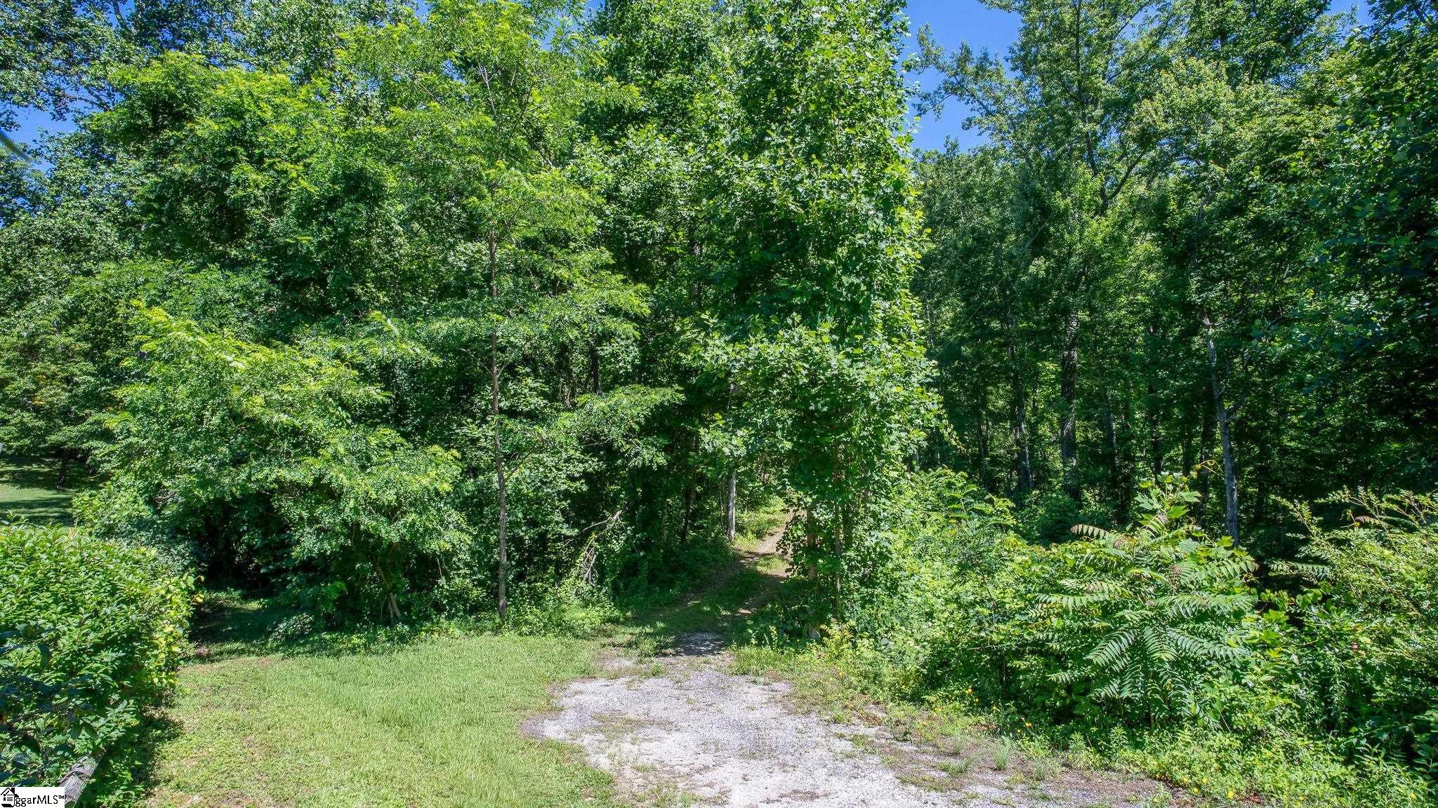 146 Glassy Falls Trail Property Photo 13