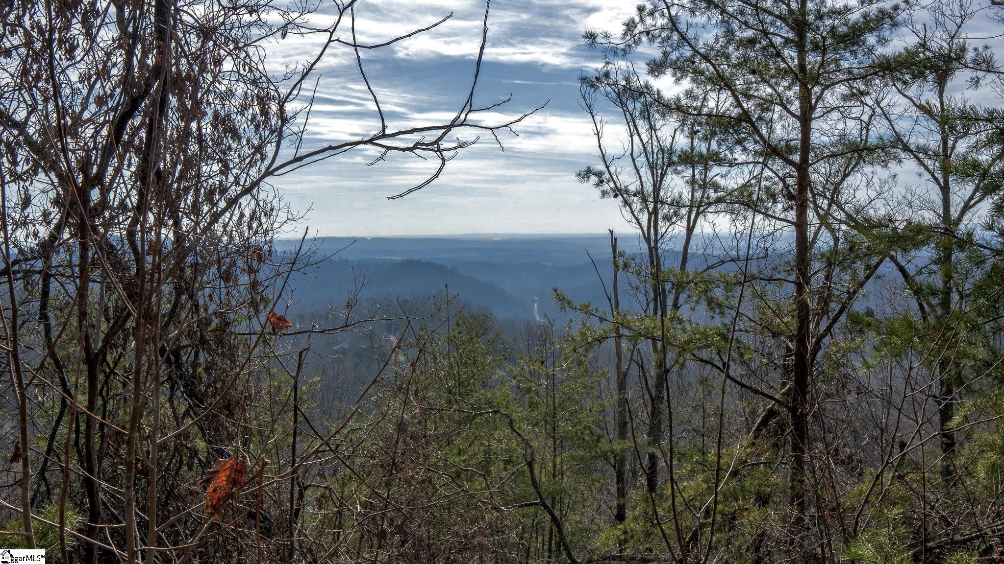 146 Glassy Falls Trail Property Photo 14
