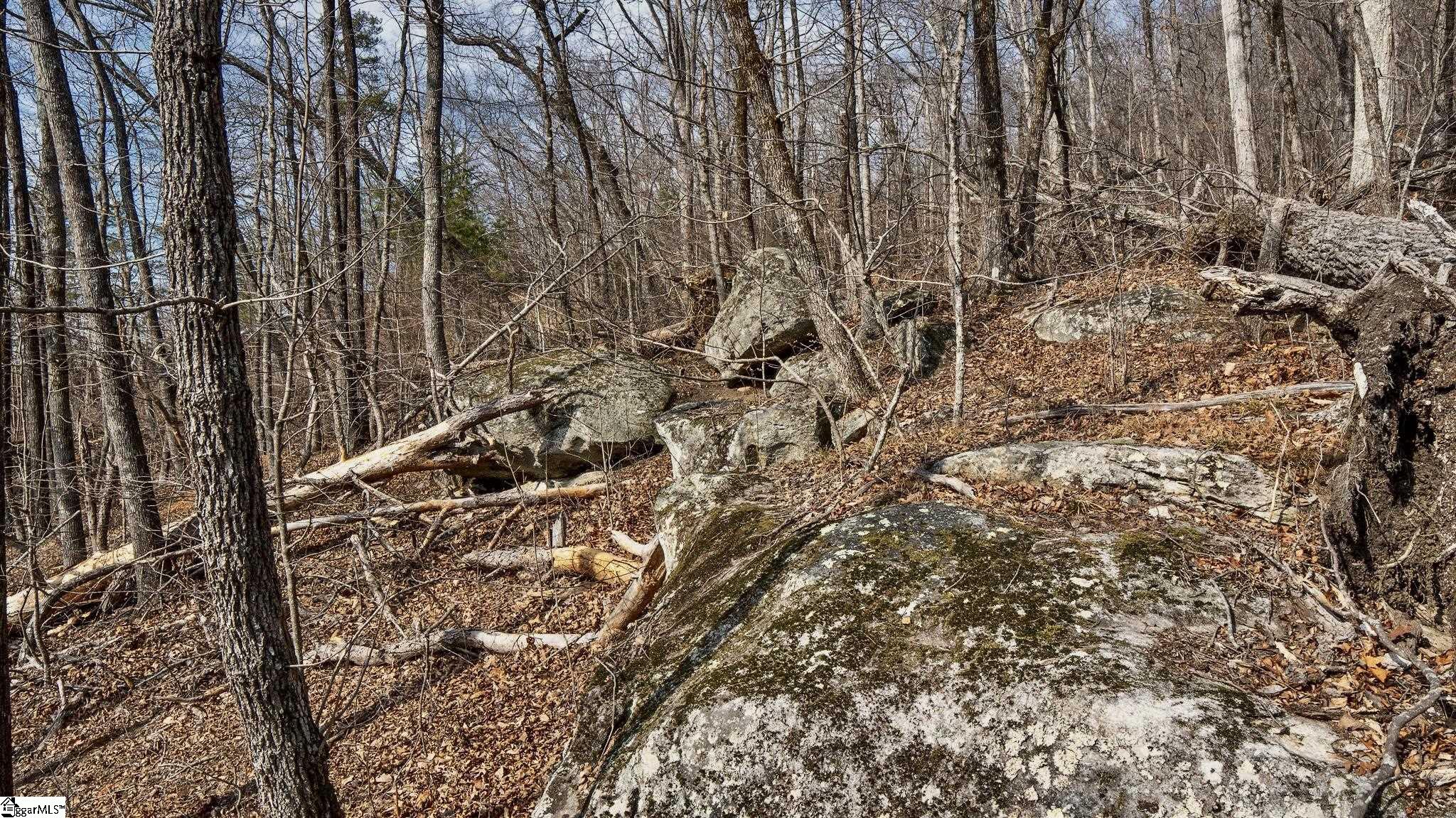 146 Glassy Falls Trail Property Photo 20
