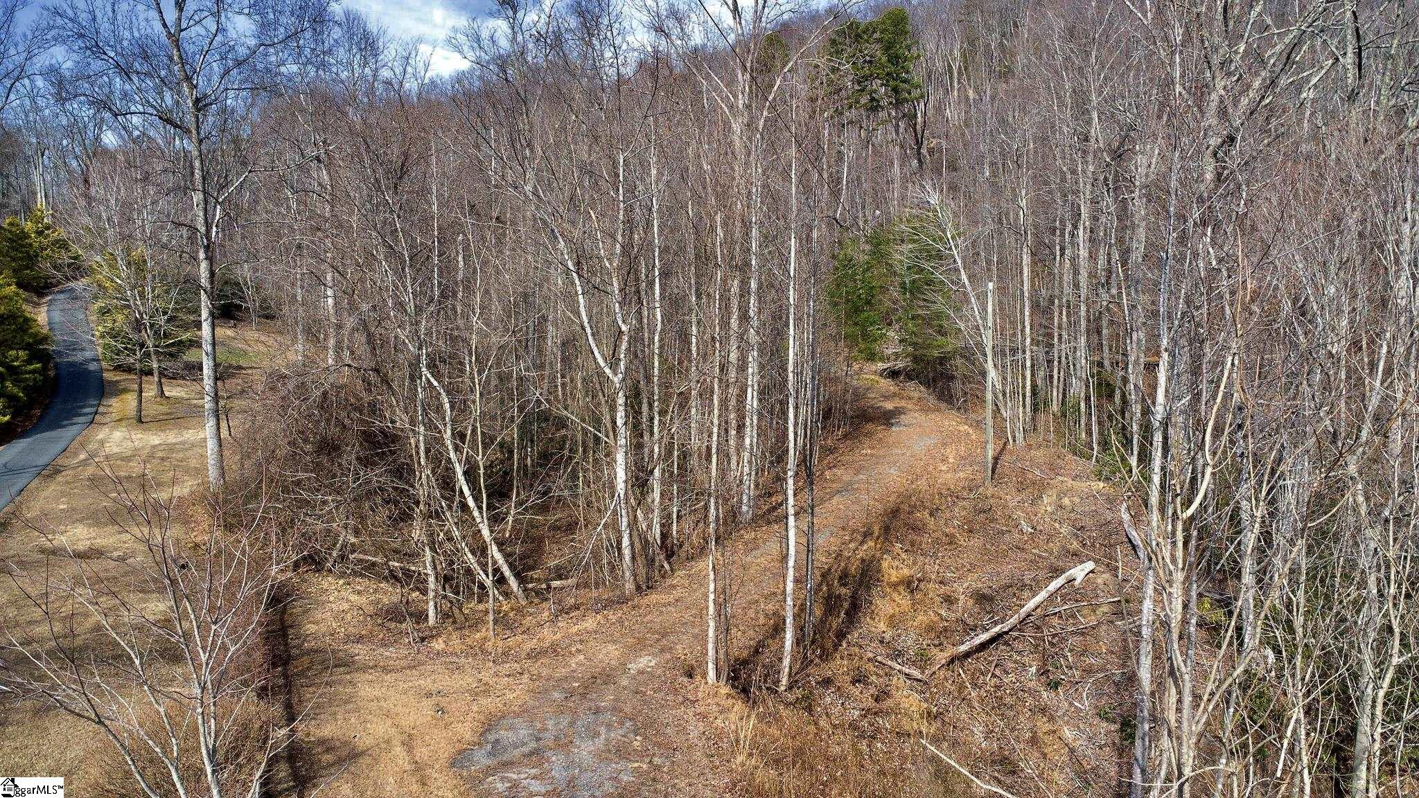 146 Glassy Falls Trail Property Photo 23