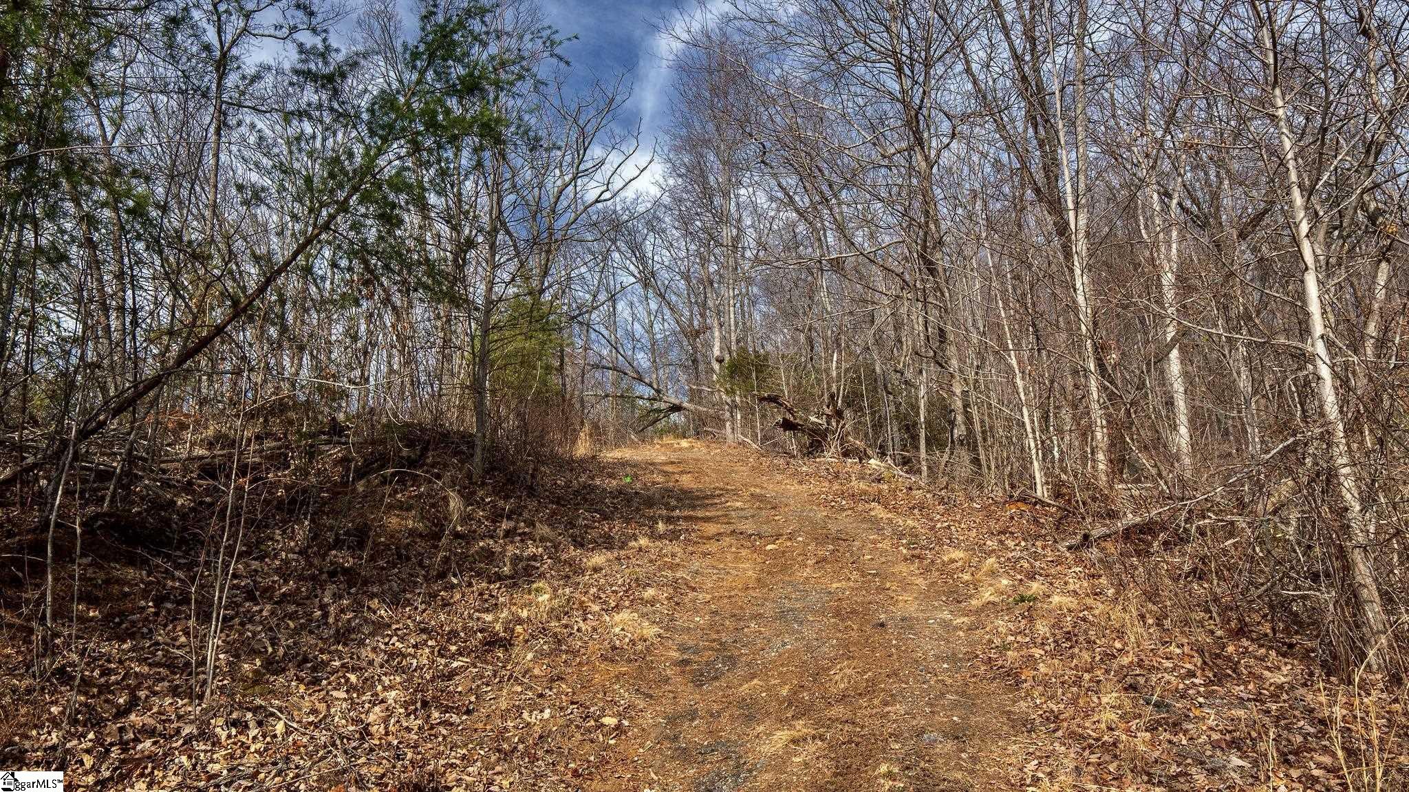146 Glassy Falls Trail Property Photo 25