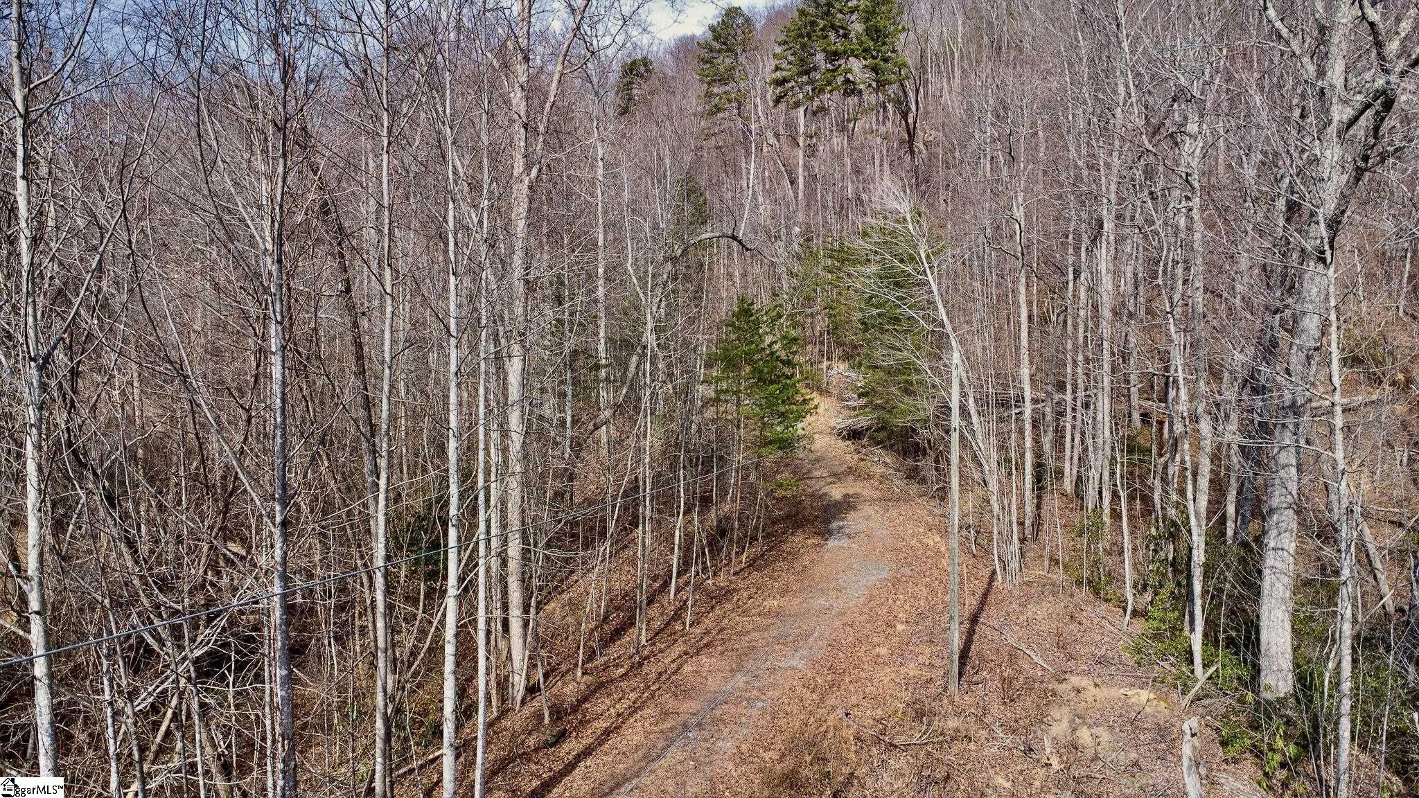 146 Glassy Falls Trail Property Photo 26