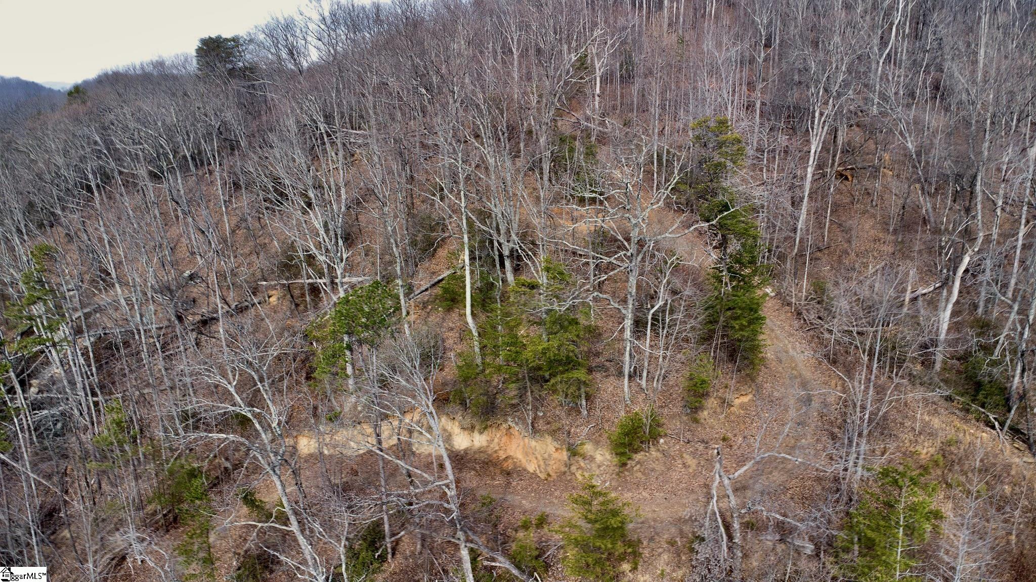 146 Glassy Falls Trail Property Photo 27