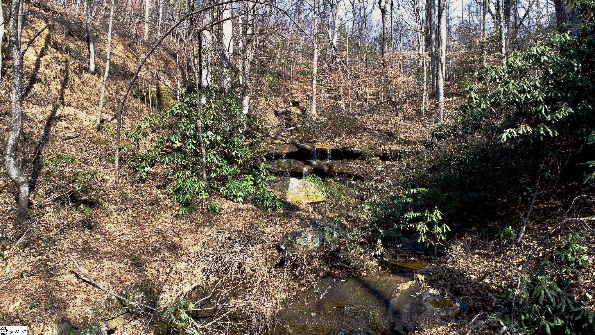 146 Glassy Falls Trail Property Photo 33