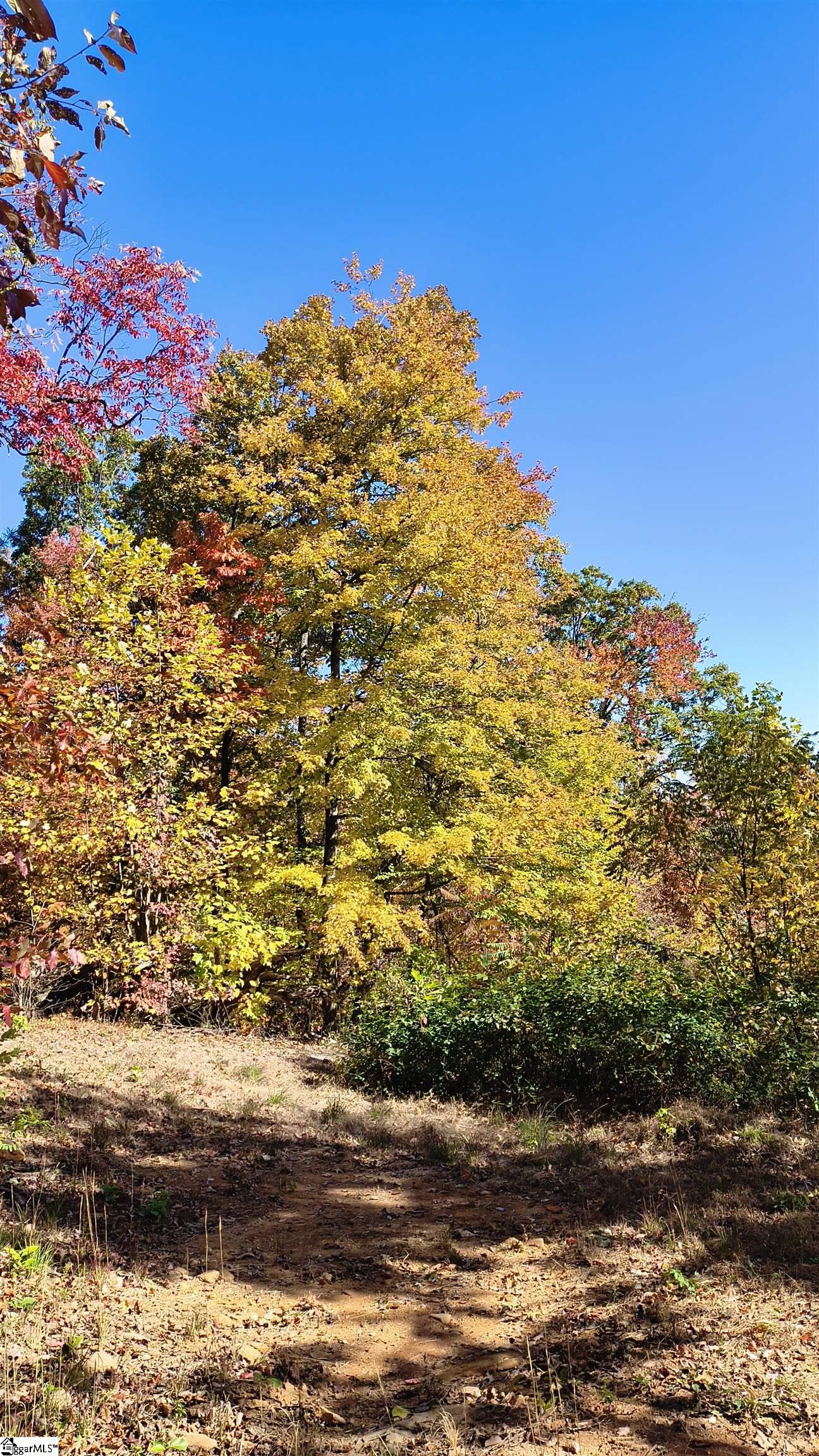 146 Glassy Falls Trail Property Photo 39