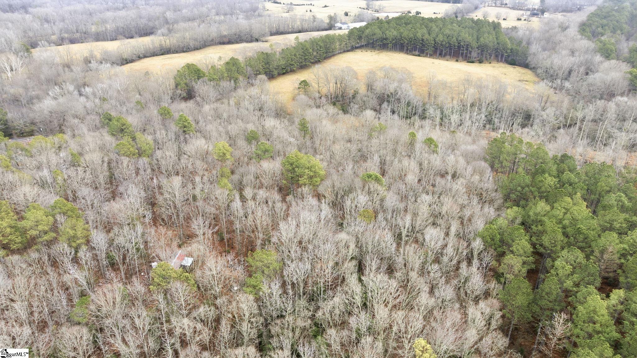 00 Ellison Road Property Photo 15