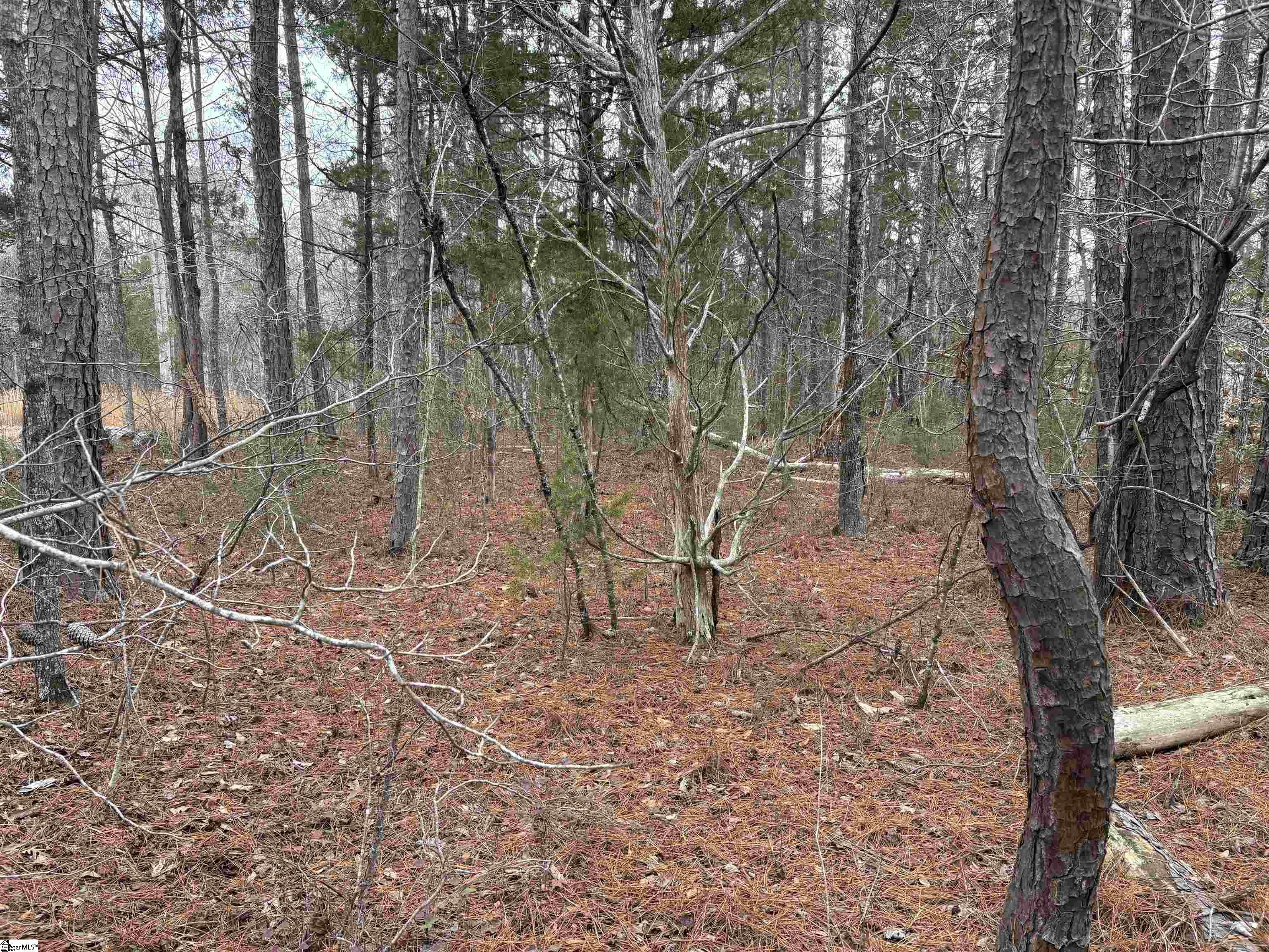 Lot 133 River Oaks Drive Property Photo 3