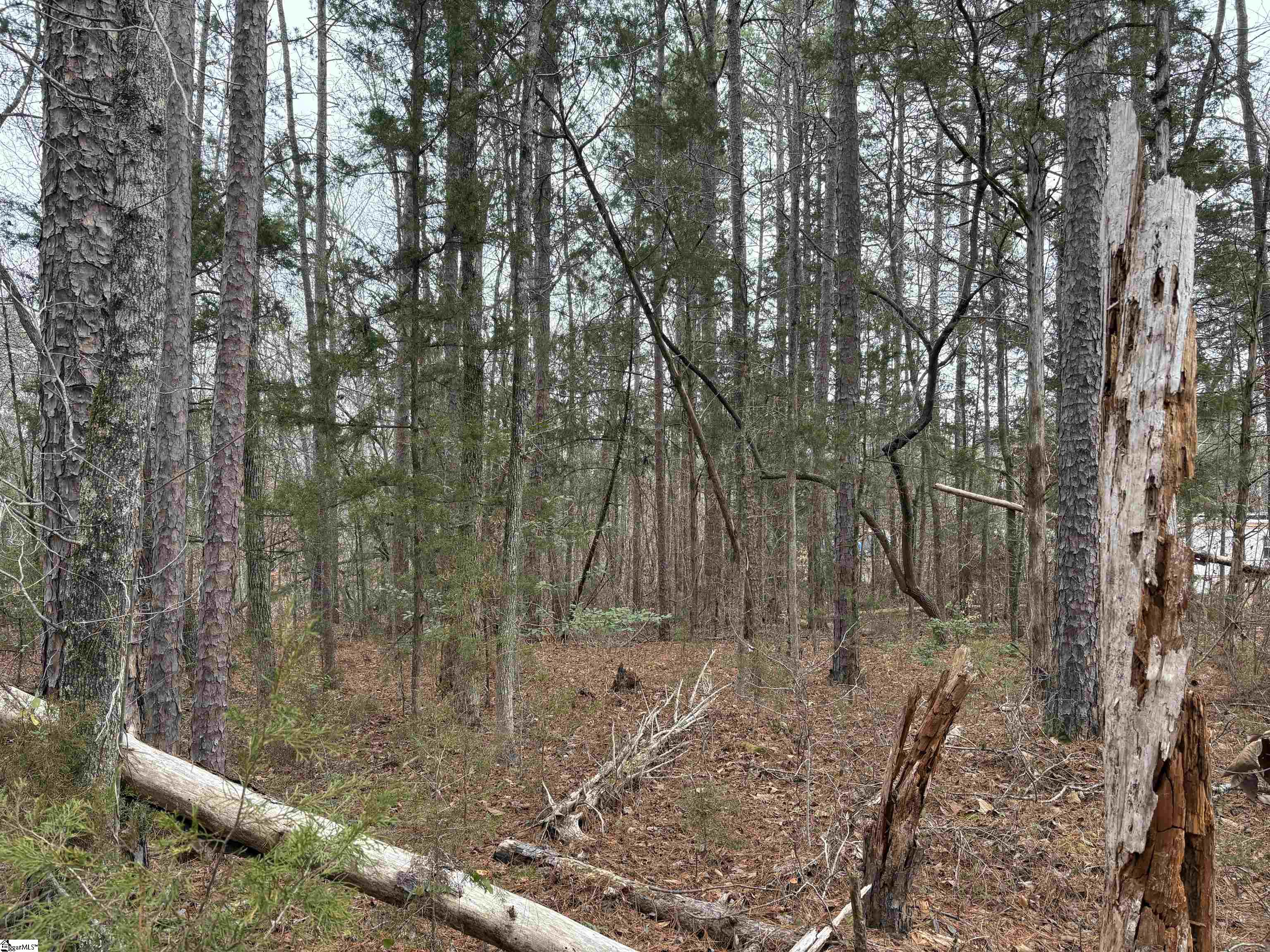 Lot 133 River Oaks Drive Property Photo 4