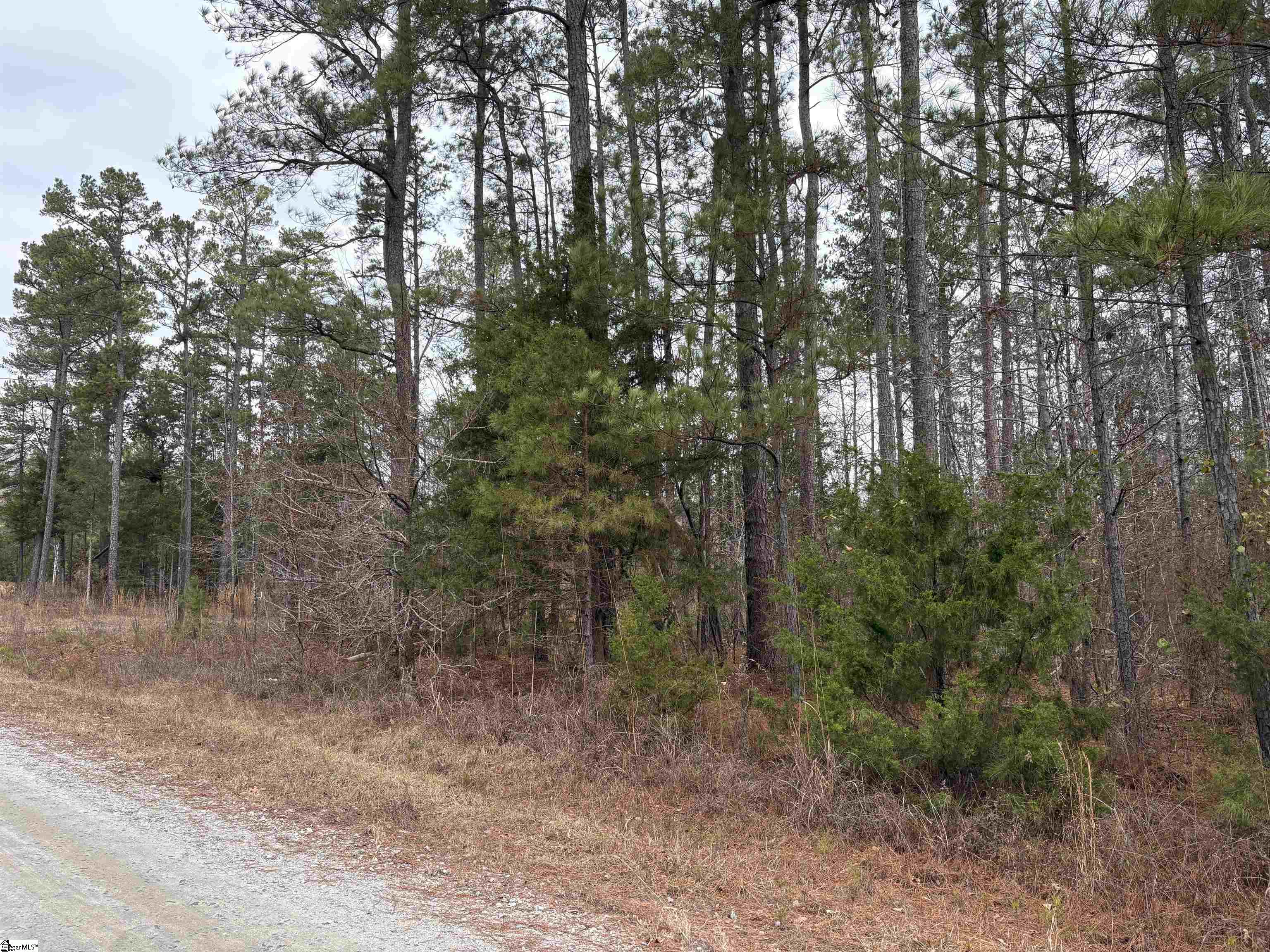 Lot 133 River Oaks Drive Property Photo 8