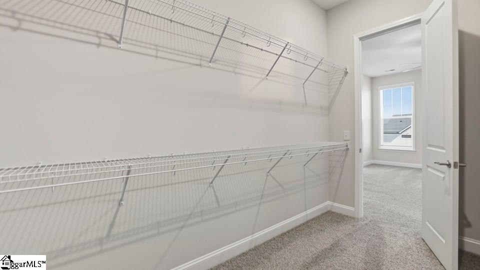 1250 Clearbrook Lane Property Photo 33