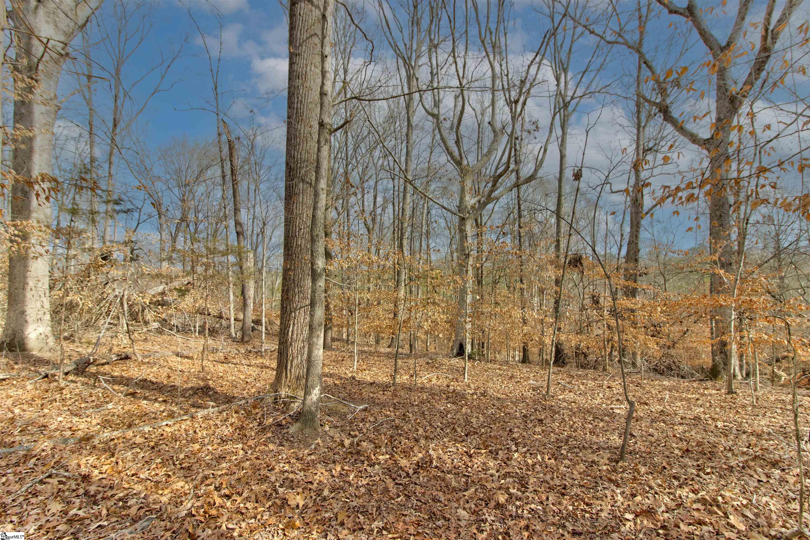 218 Lakeview Circle Property Photo 17