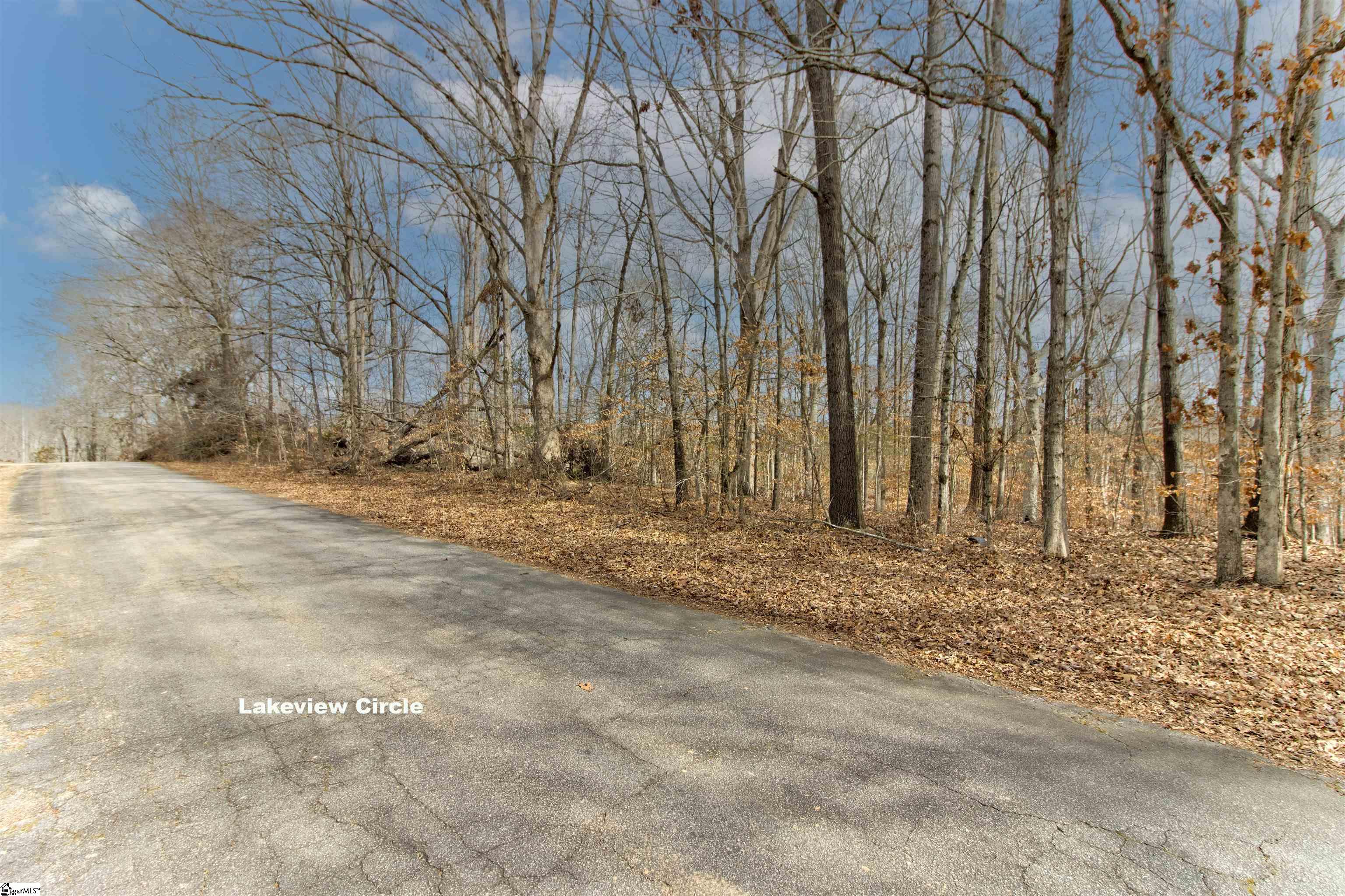 218 Lakeview Circle Property Photo 19