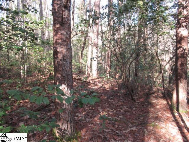 11 Matthews Creek Lane Property Photo 4