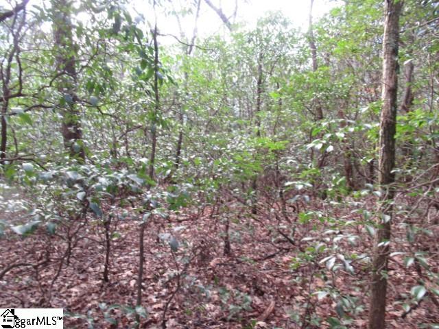 11 Matthews Creek Lane Property Photo 5