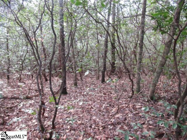 11 Matthews Creek Lane Property Photo 6