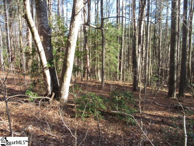 11 Matthews Creek Lane Property Photo 8