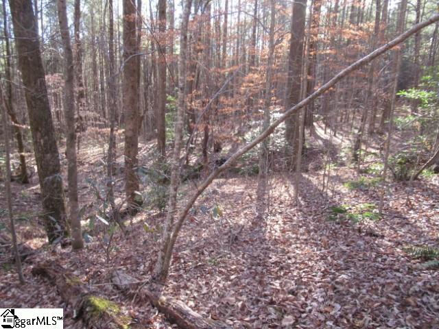 11 Matthews Creek Lane Property Photo 9