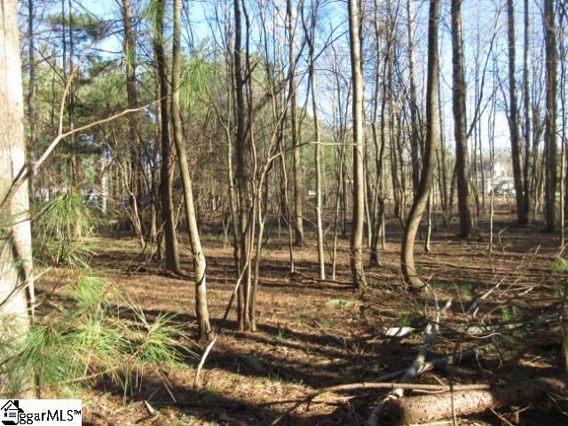 11 Matthews Creek Lane Property Photo 10