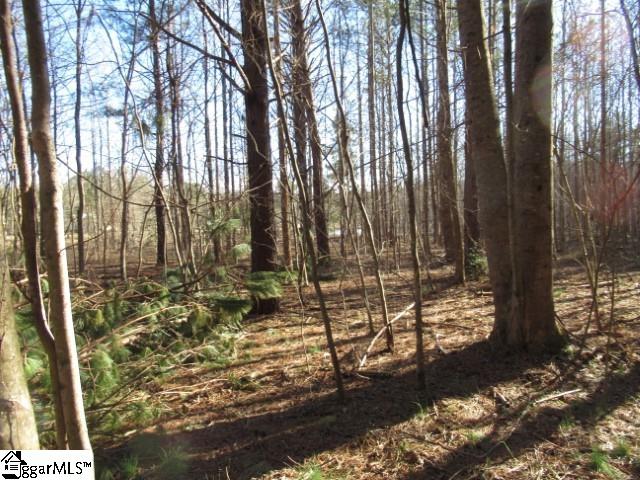 11 Matthews Creek Lane Property Photo 11