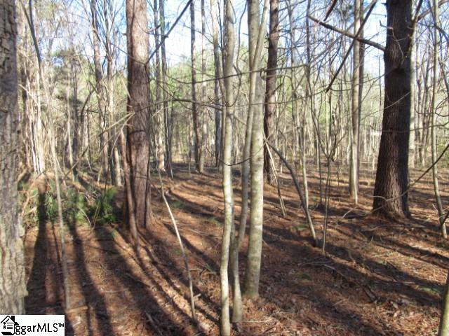 11 Matthews Creek Lane Property Photo 12