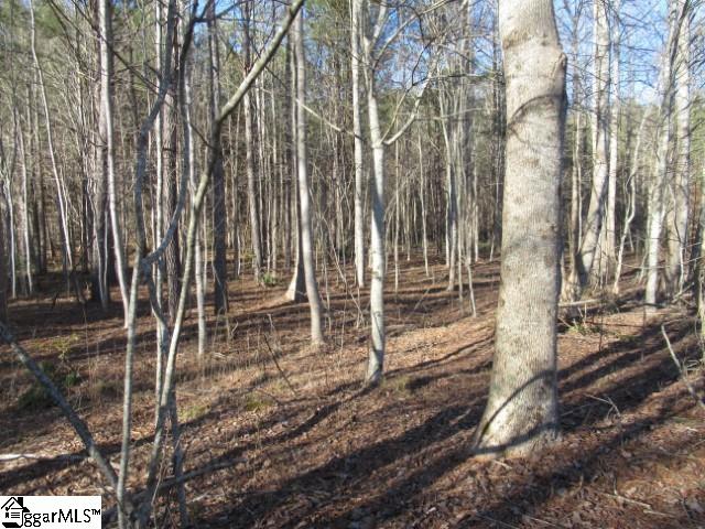 11 Matthews Creek Lane Property Photo 13