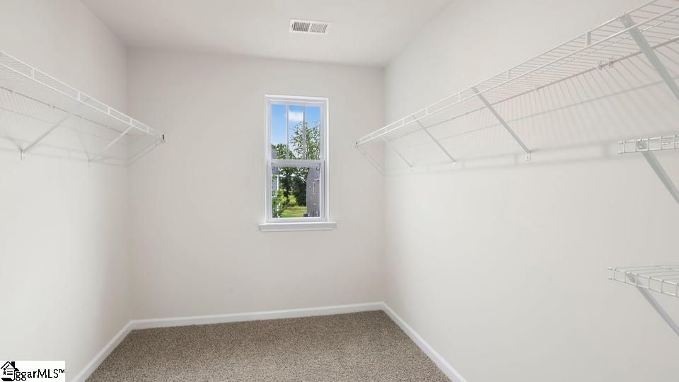 212 Deskin Lane Property Photo 29