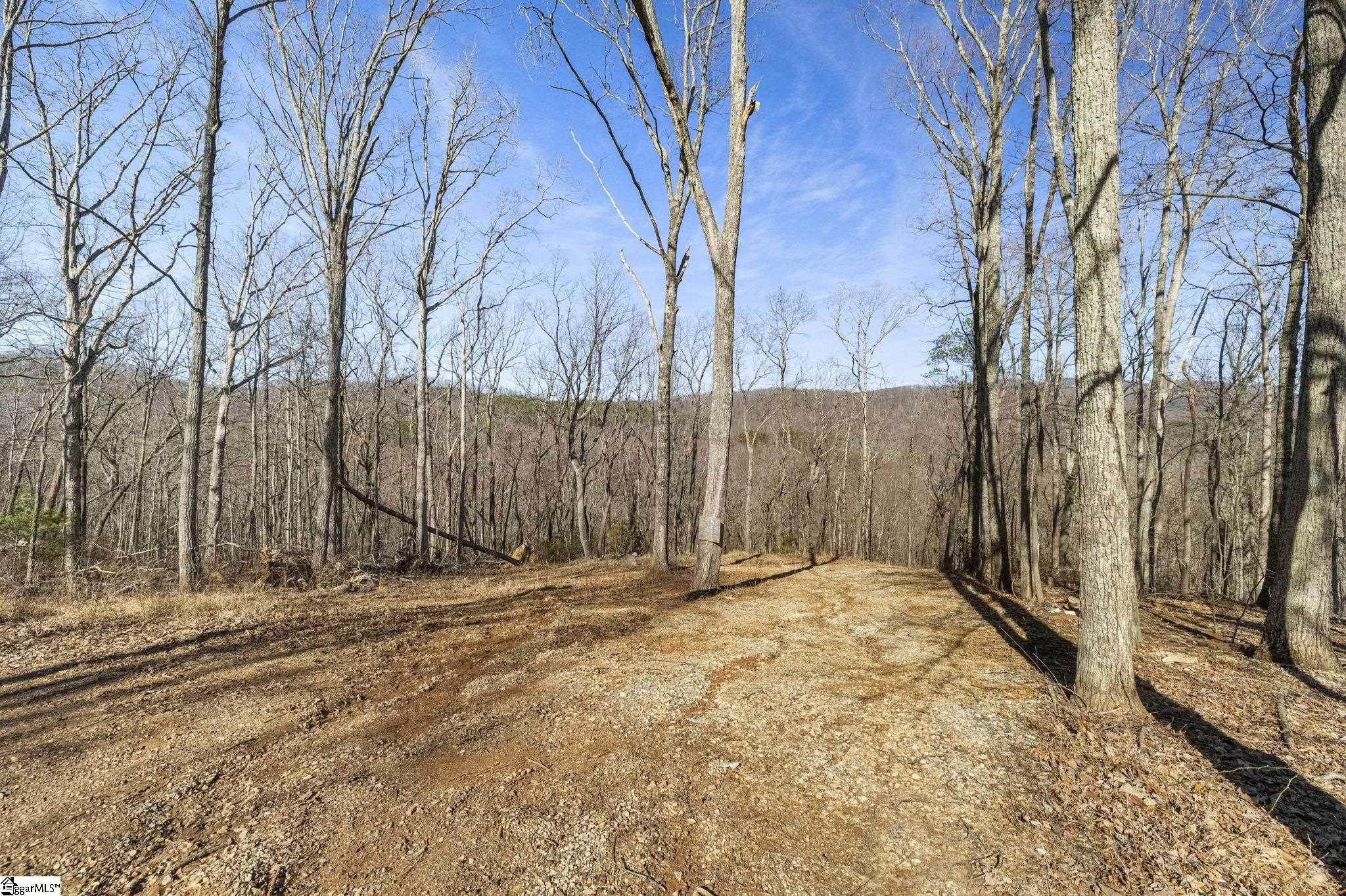 314 Mountain Lake Lane Property Photo 1