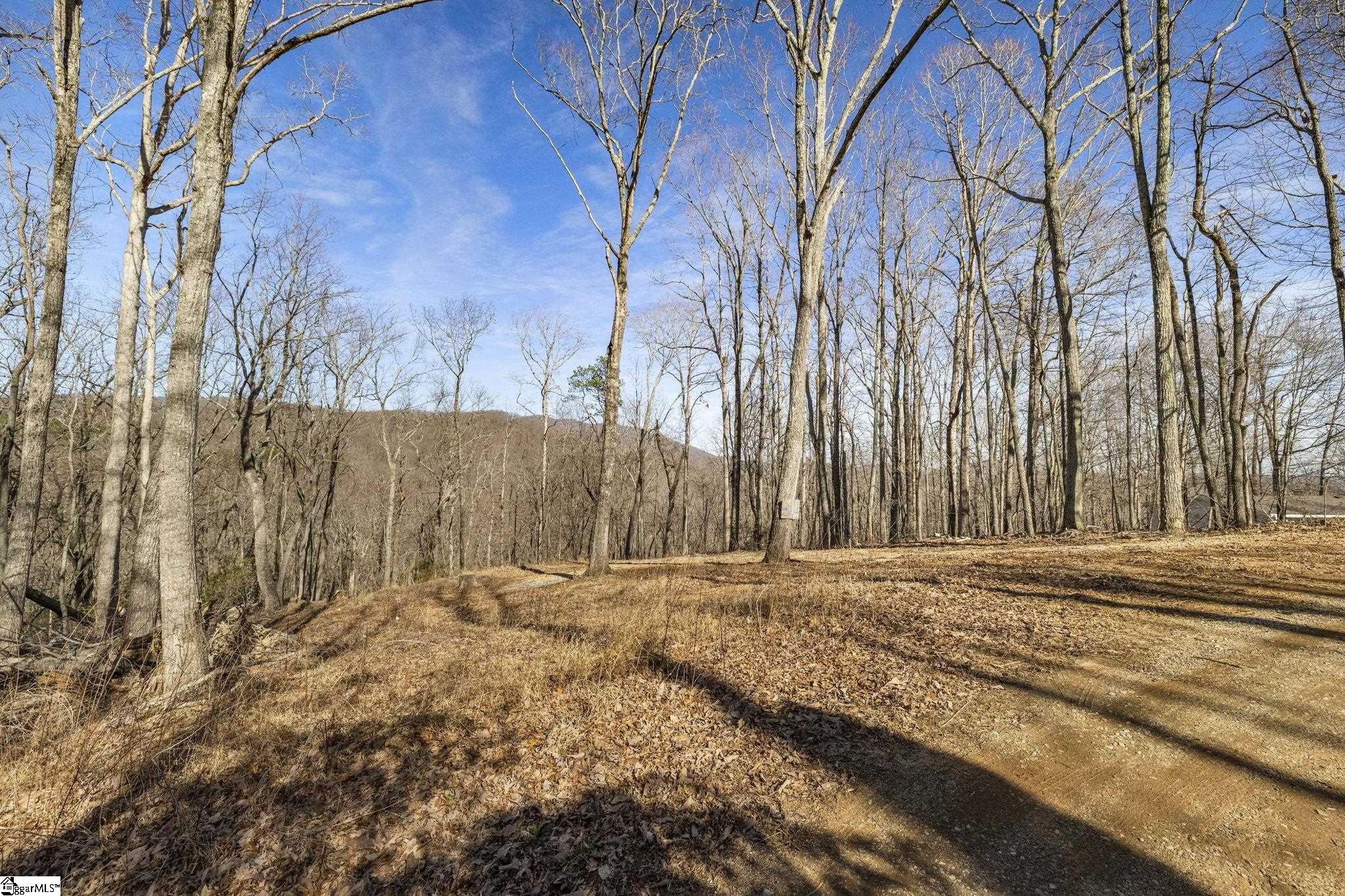 314 Mountain Lake Lane Property Photo 5