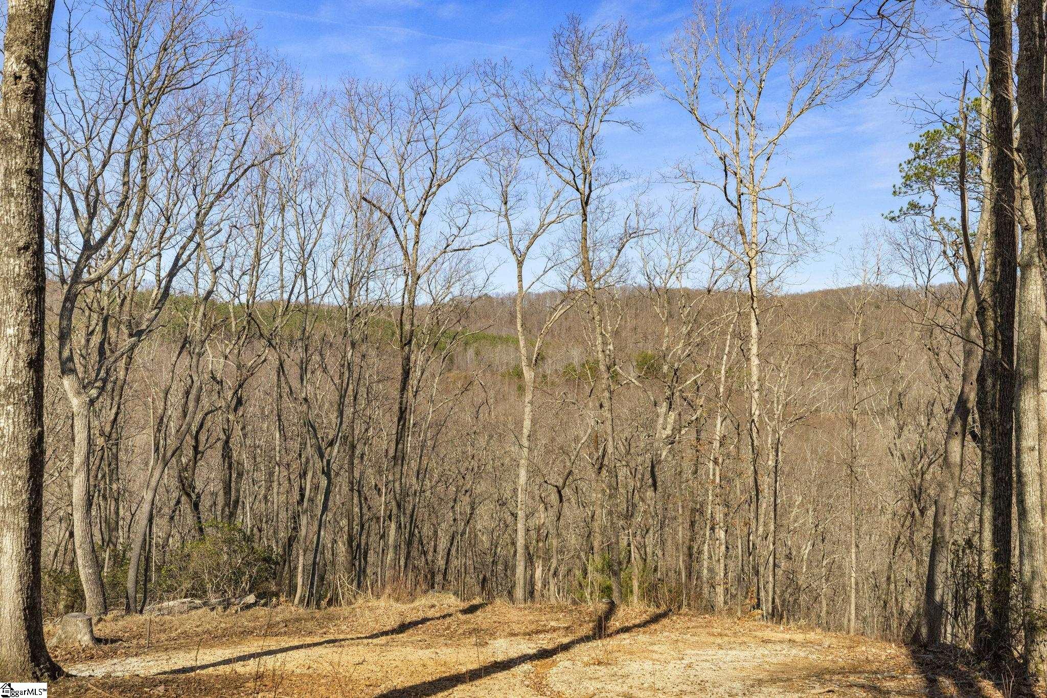 314 Mountain Lake Lane Property Photo 8