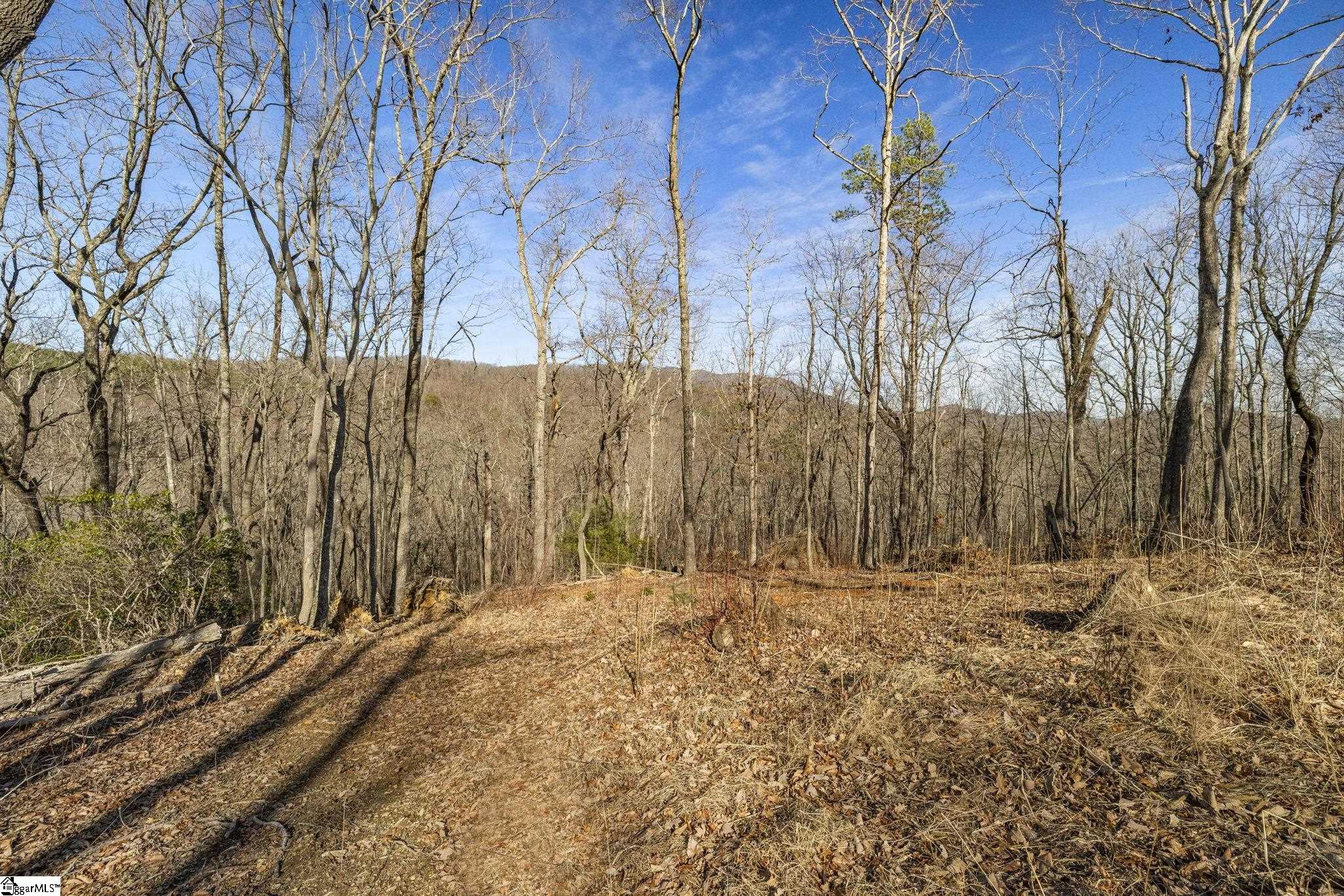 314 Mountain Lake Lane Property Photo 10