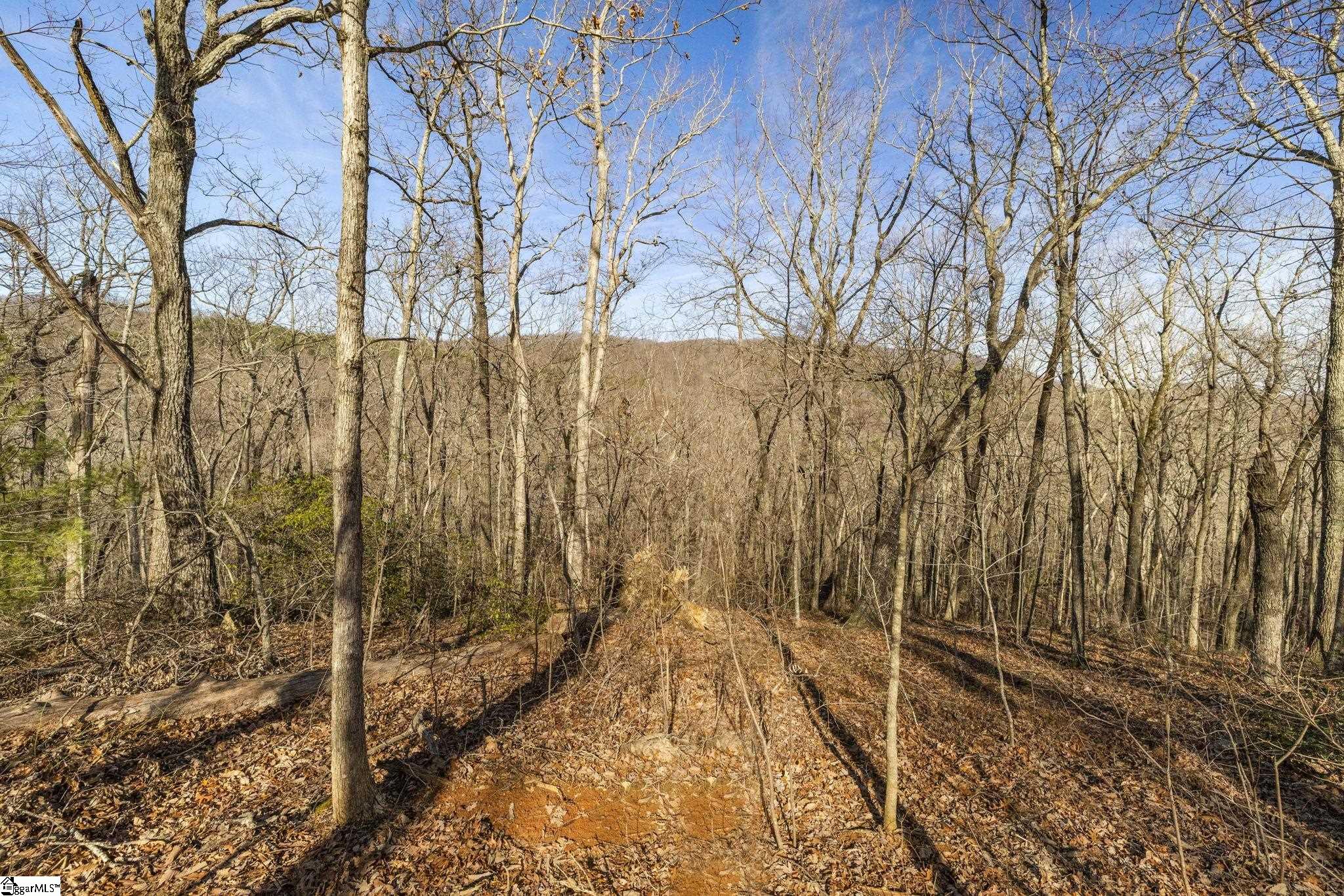314 Mountain Lake Lane Property Photo 15