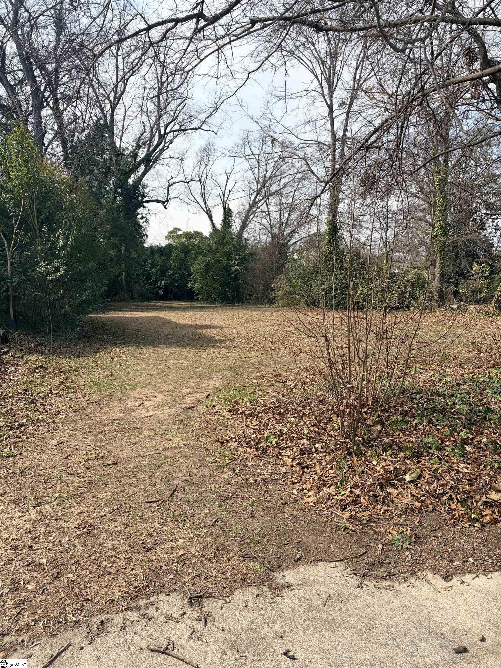 142 Oakland Avenue Property Photo 2