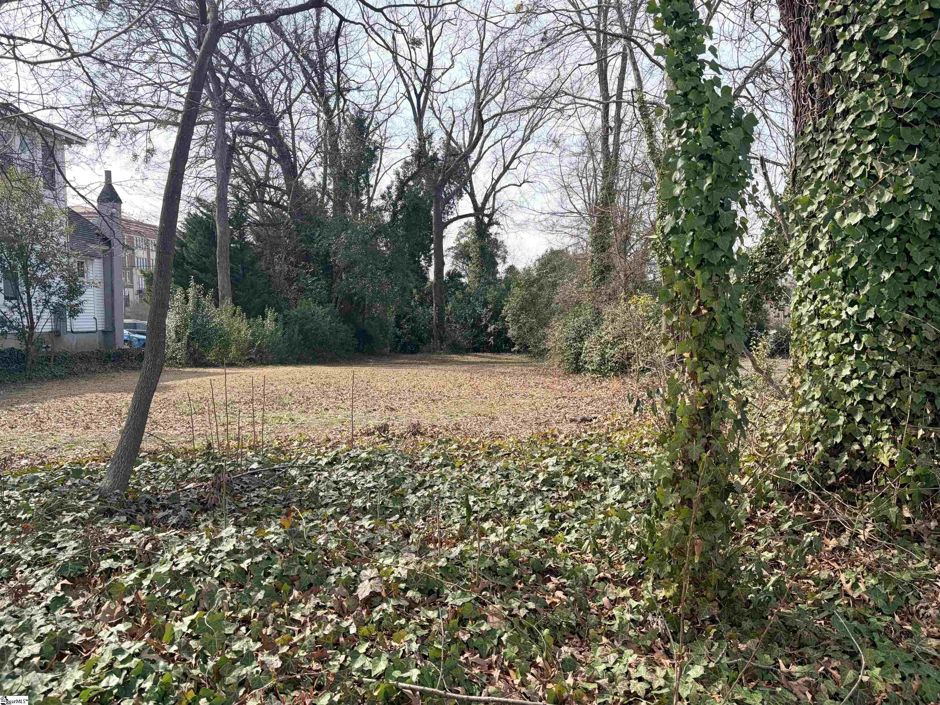142 Oakland Avenue Property Photo 4