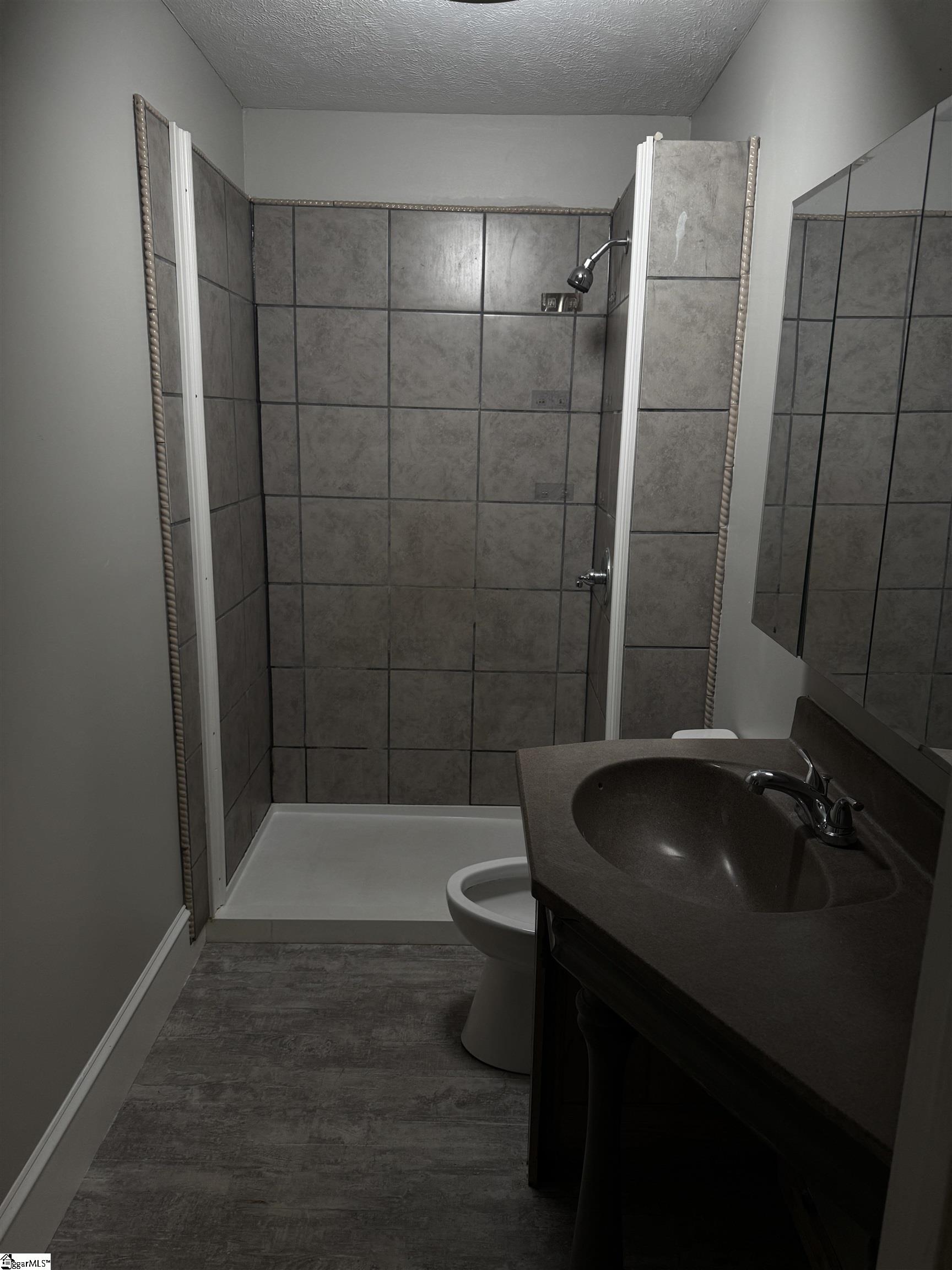134 Carlton Street Property Photo 24