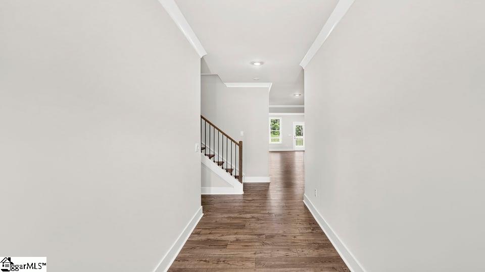 707 Catbird Court Property Photo 5