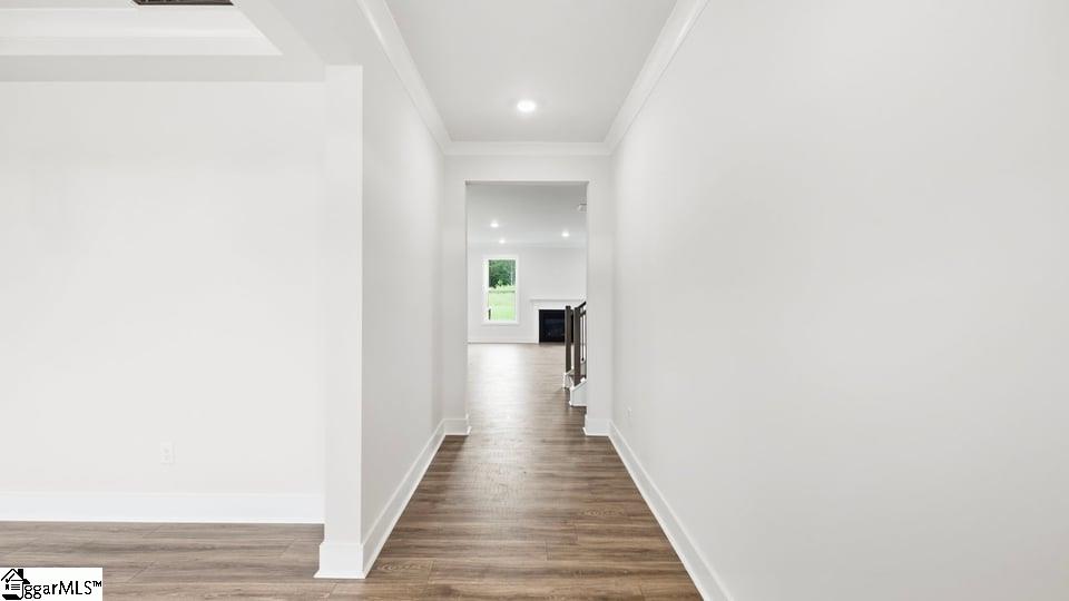 709 Catbird Court Property Photo 5