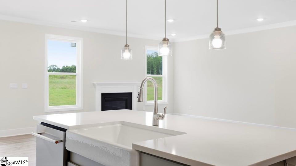 709 Catbird Court Property Photo 12
