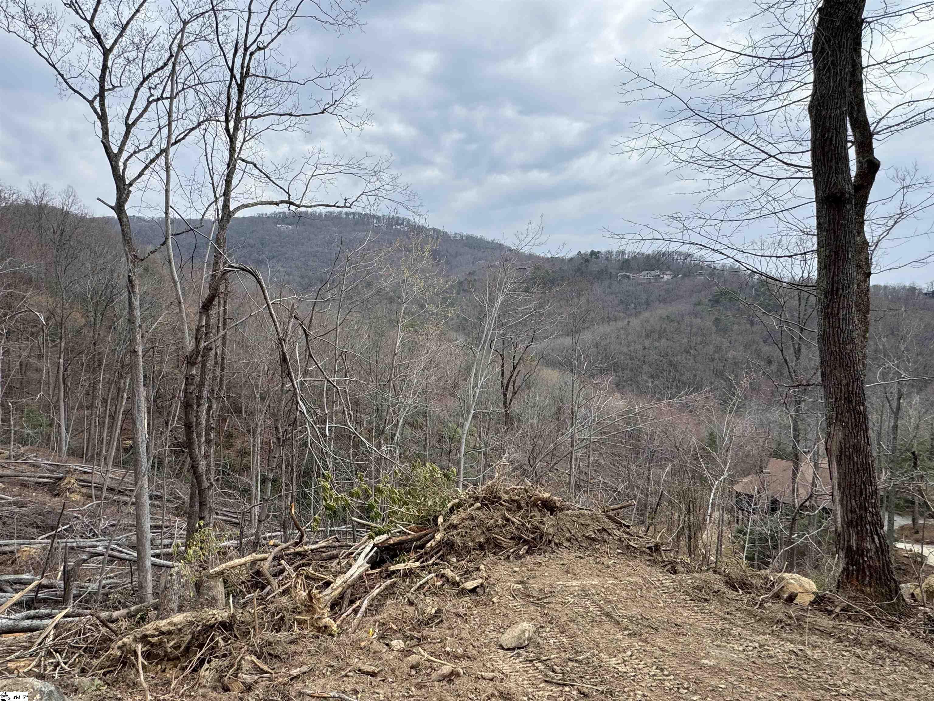 39 Panther Park Trail Property Photo 5