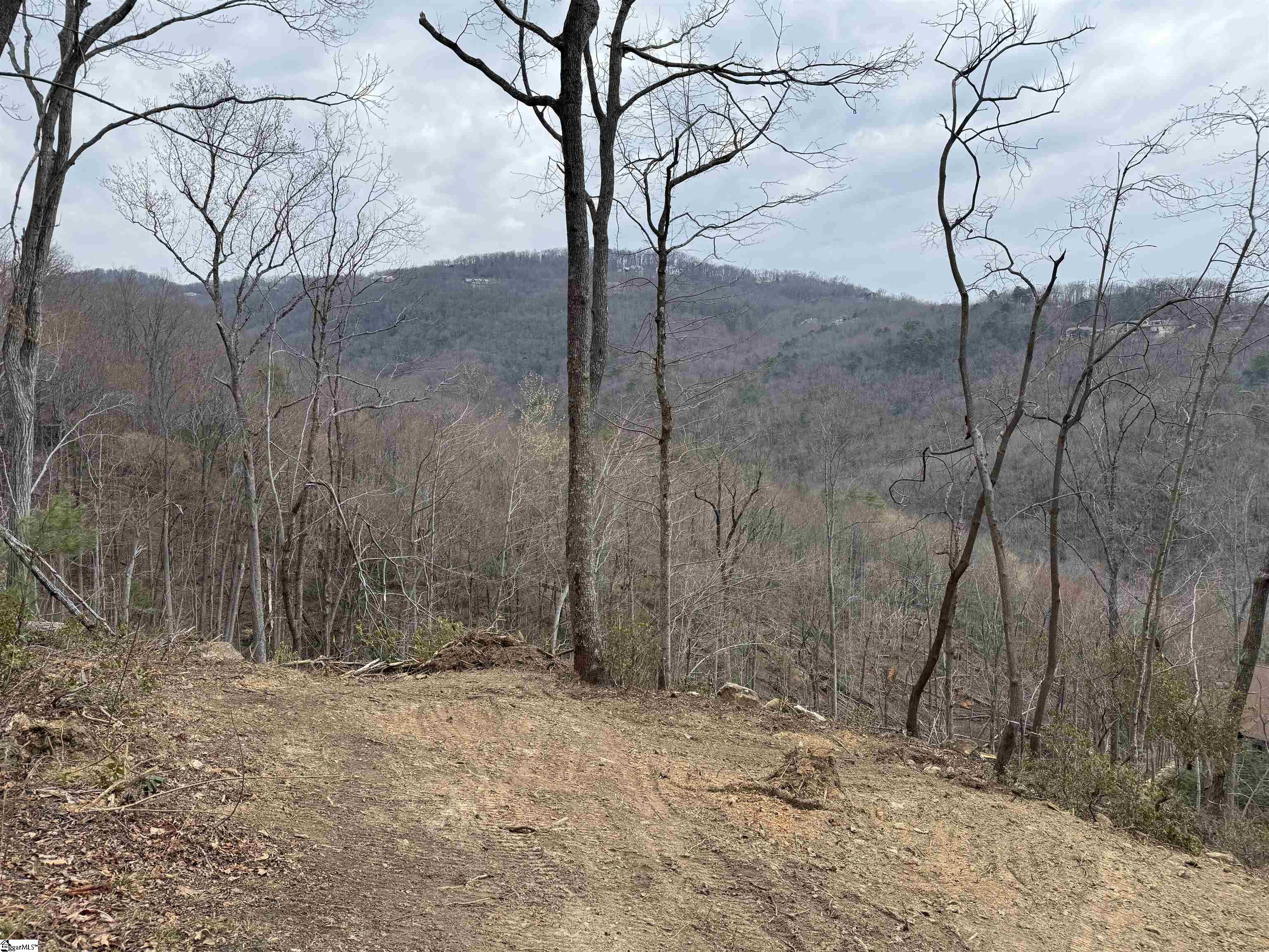 1328 Panther Park Trail Property Photo 4