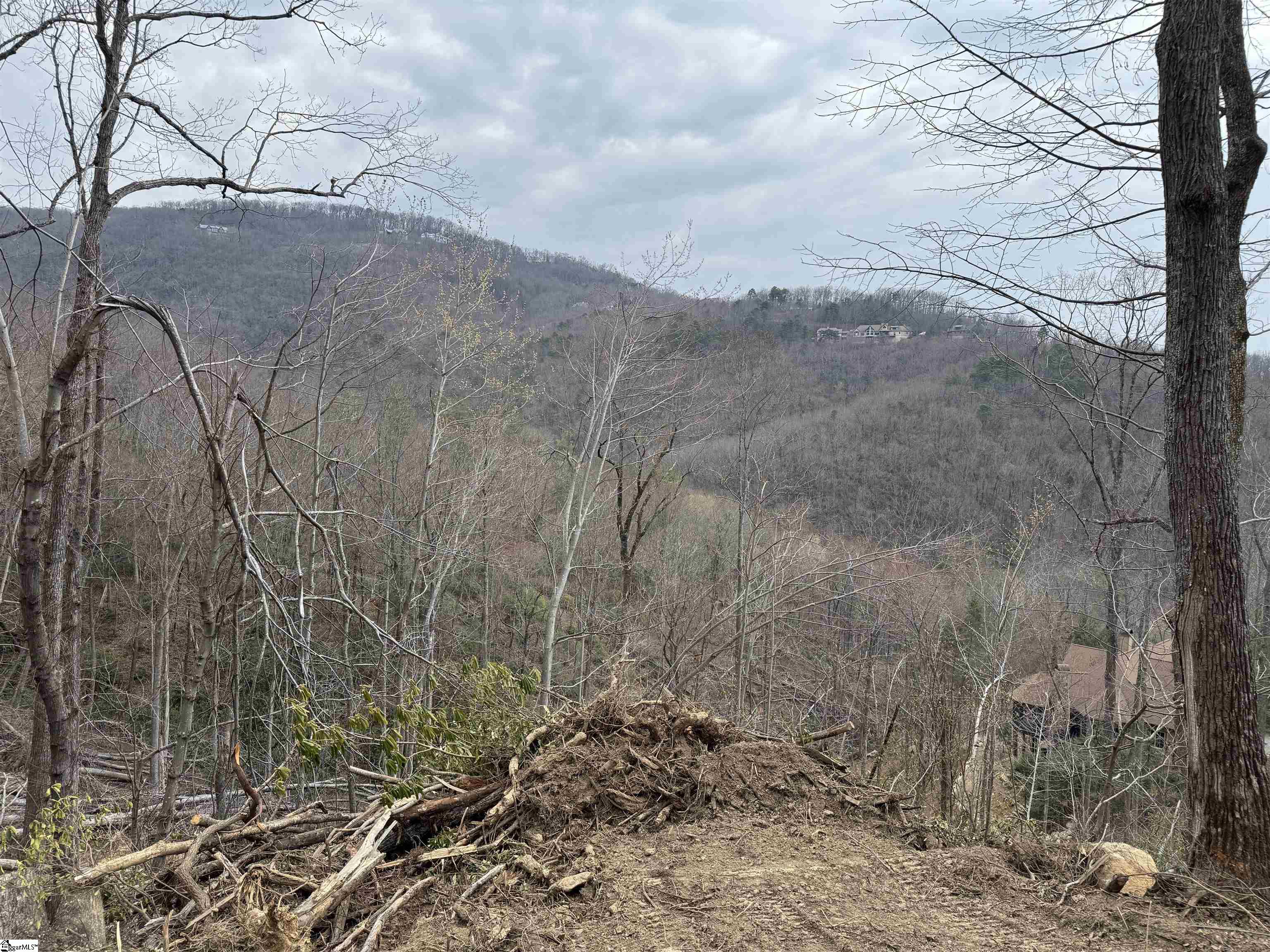 1328 Panther Park Trail Property Photo 5