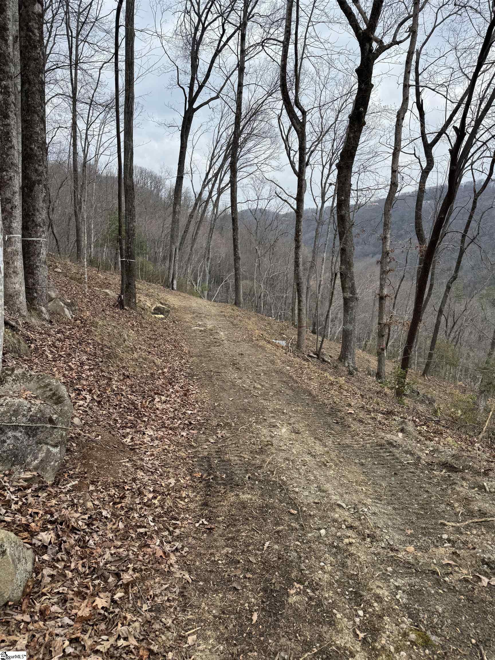 1328 Panther Park Trail Property Photo 6